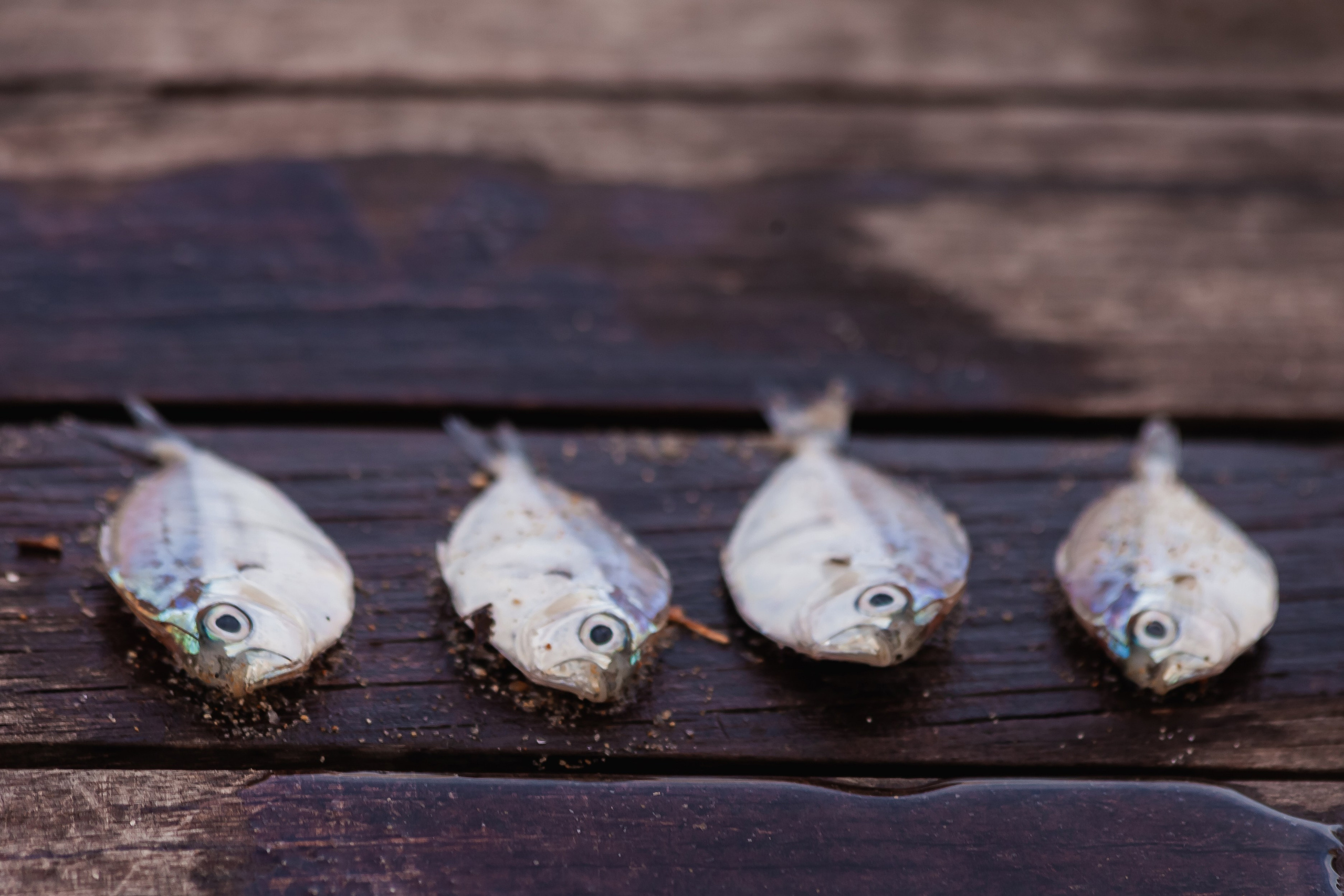 ВЬЕТНАМ 2023 / VIEtTNAM 2024. Главная