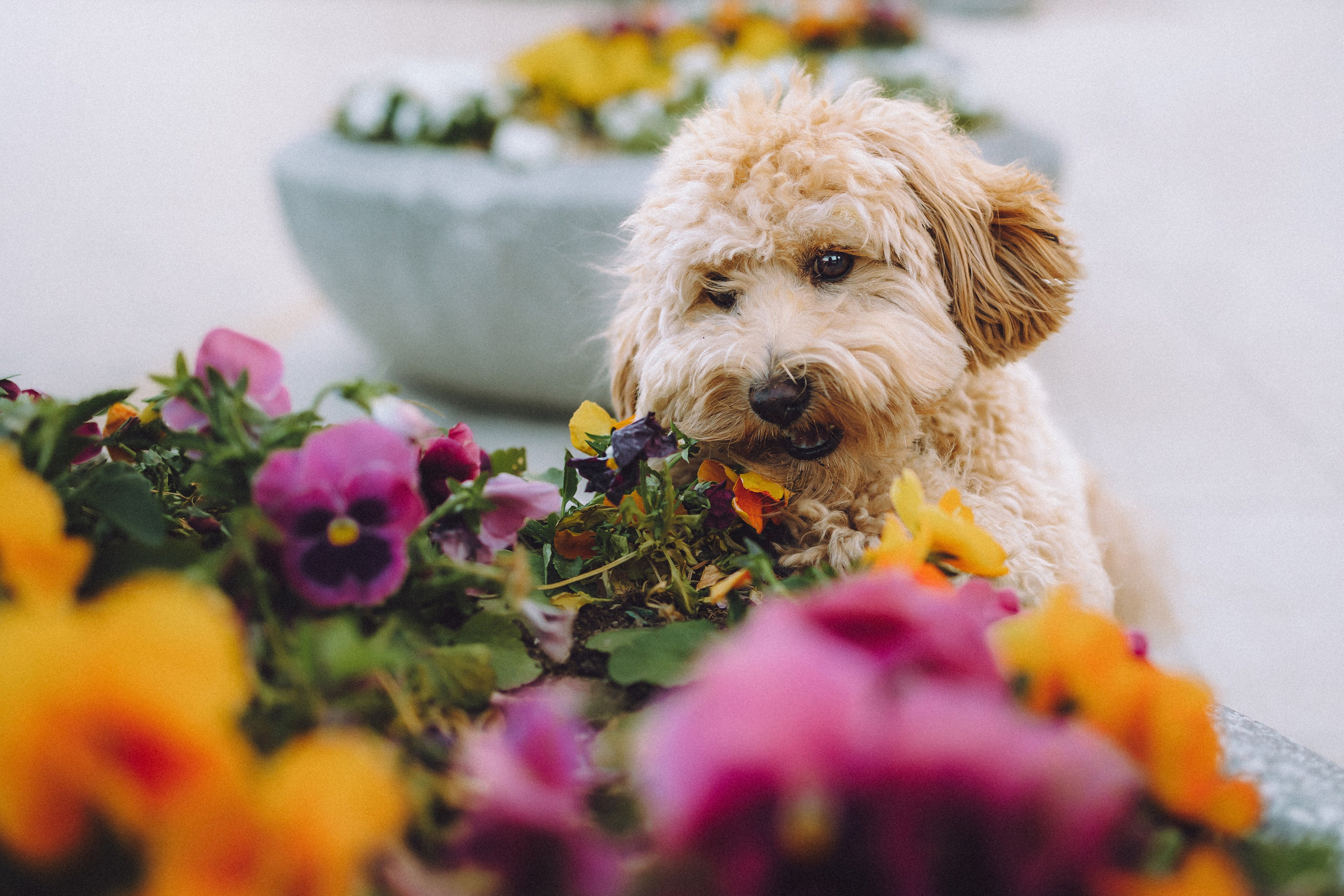 Фред и его семья