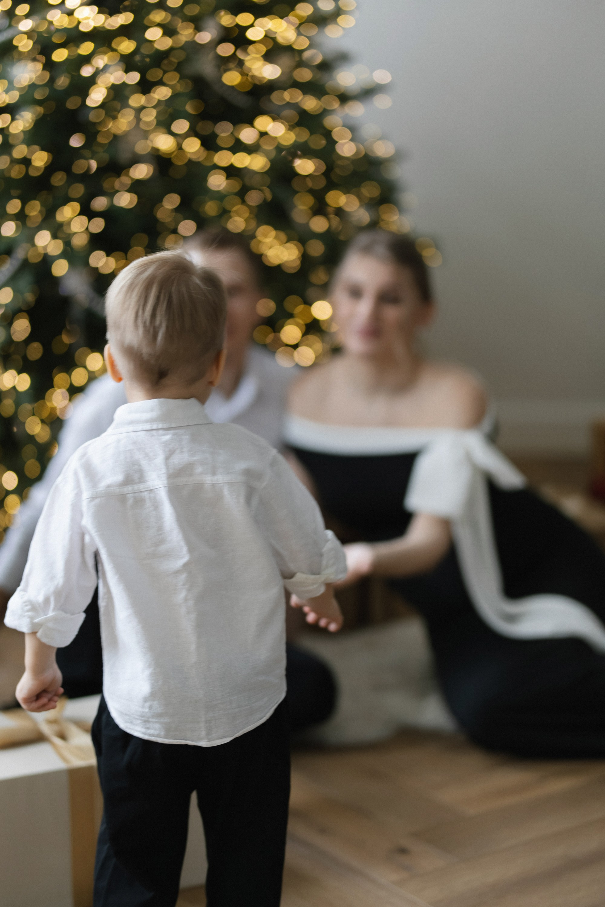 «В ОЖИДАНИИ НОВОГО ГОДА». Maria Startseva Photo