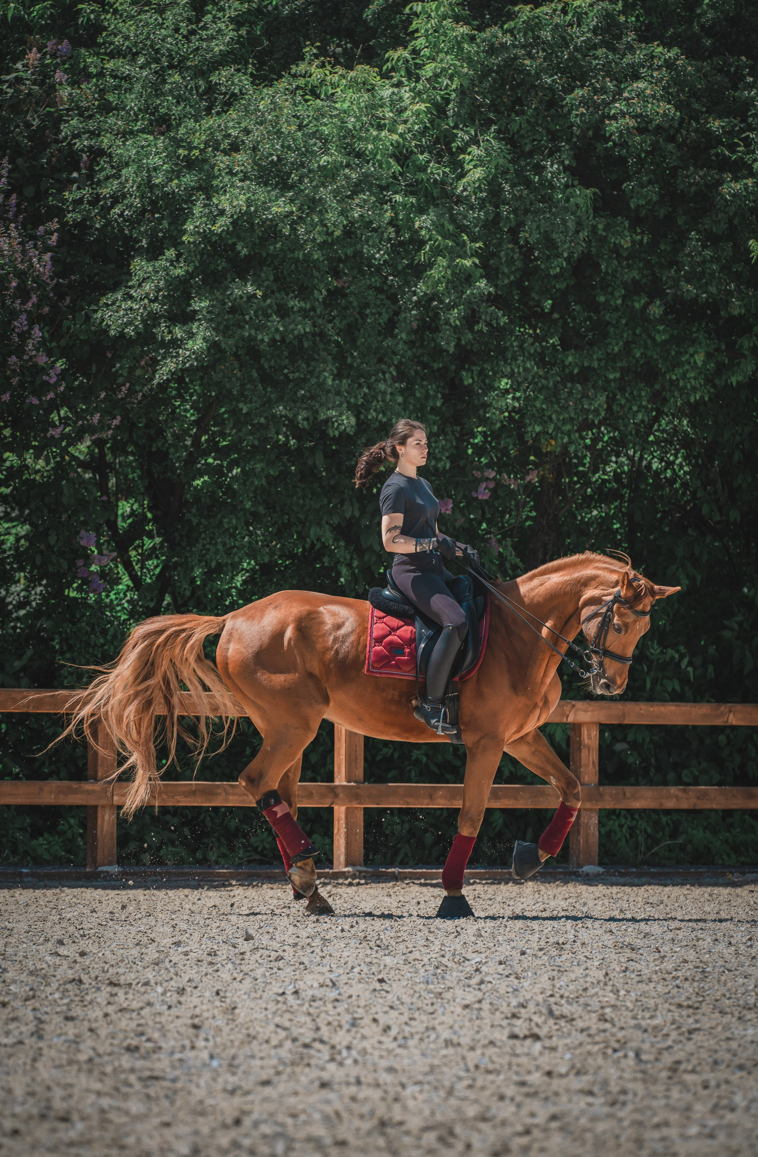 Валерия и Ланселот. Тренировка по выездке. КСК «Урожай». Фотограф в Москве Ленарская Дарья