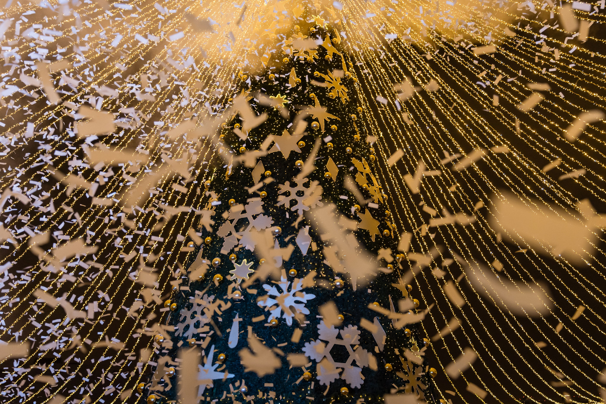 Рождественский бал. Пар Ходынское поле. 07.01.2025