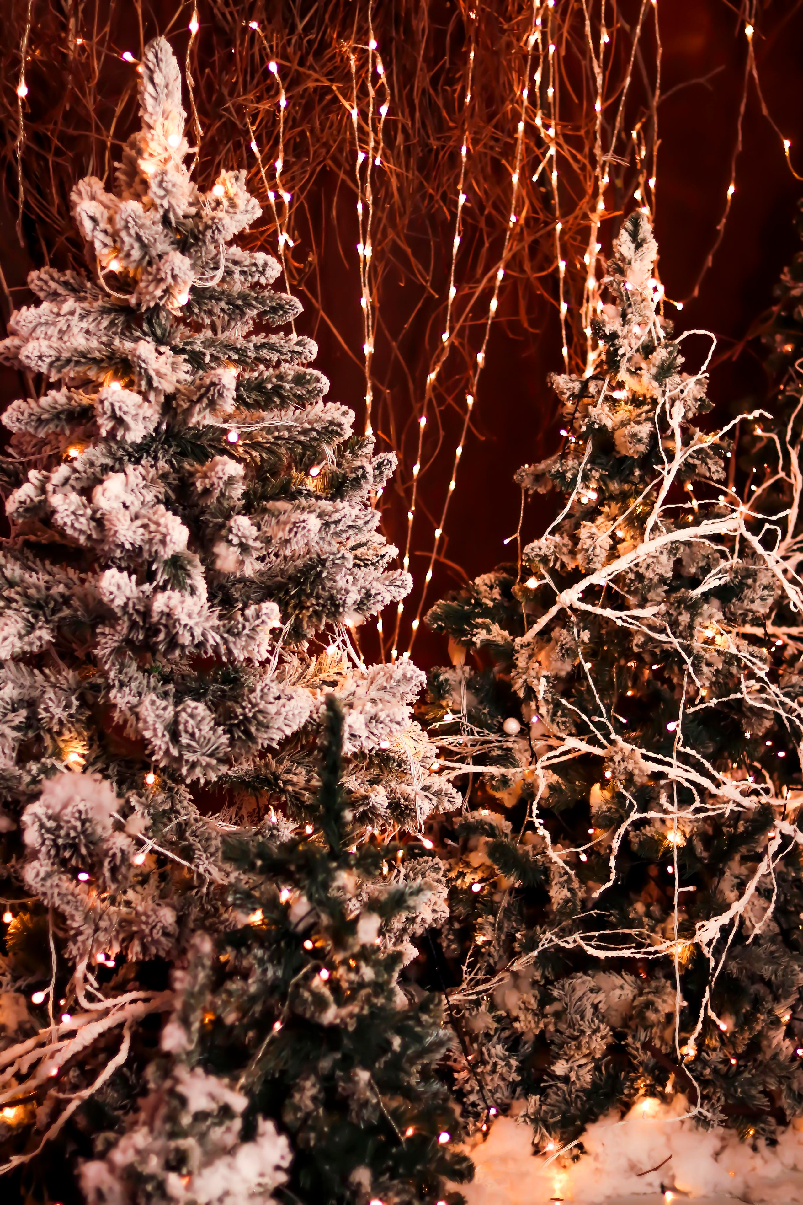 СЕМЬЯ ЮЛИИ. Фотограф Людмила Лебединская г. Краснодар (Приморско-Ахтарский р-он)