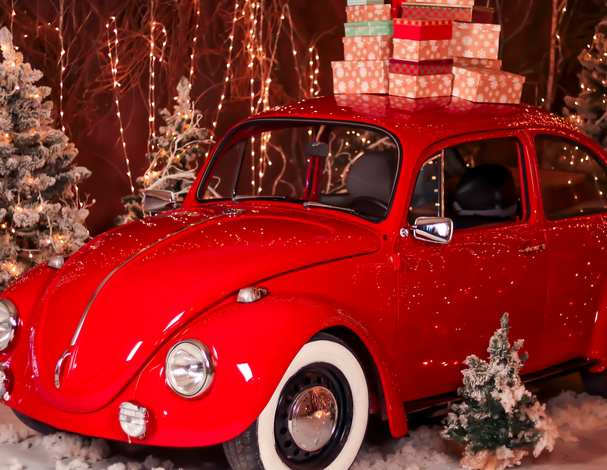 СЕМЬЯ ЮЛИИ. Фотограф Людмила Лебединская г. Краснодар (Приморско-Ахтарский р-он)