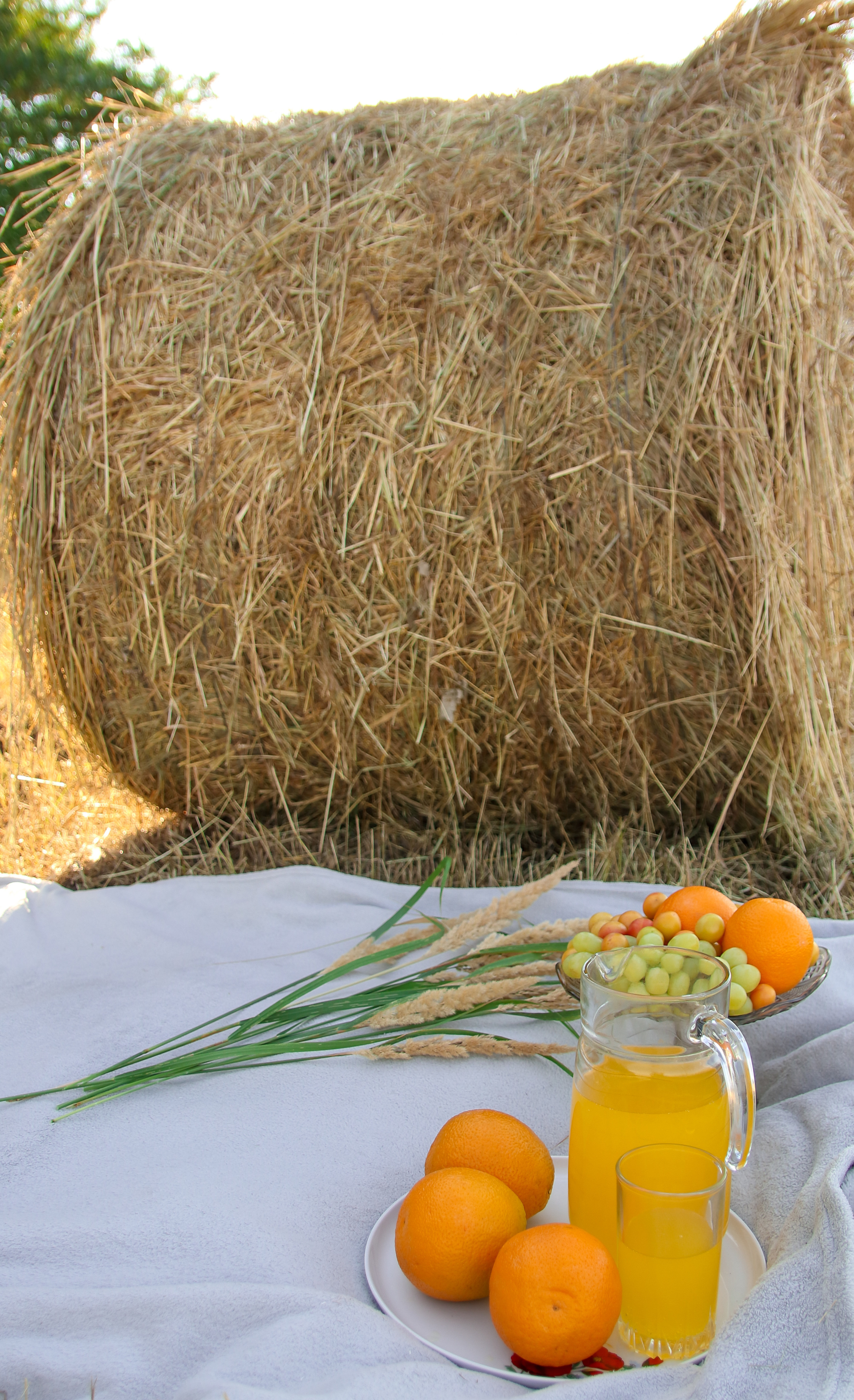 СНЕЖАНА. Фотограф Людмила Лебединская г. Краснодар (Приморско-Ахтарский р-он)