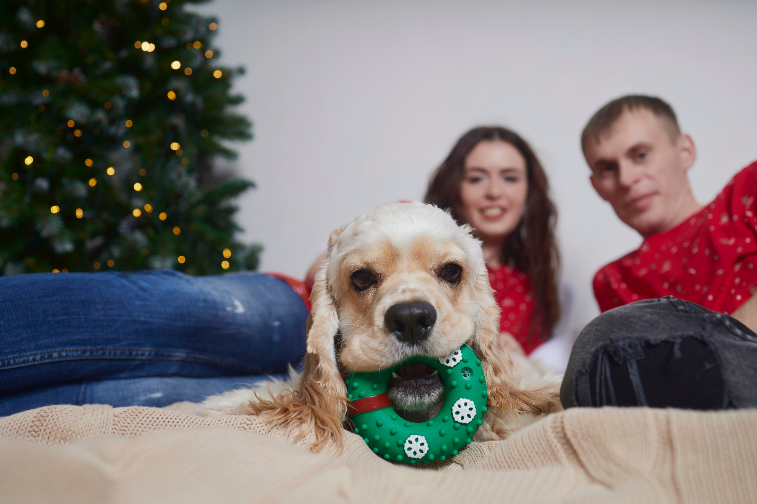 Новый год. Фотограф Иван Кузьмин на любое Ваше мероприятие