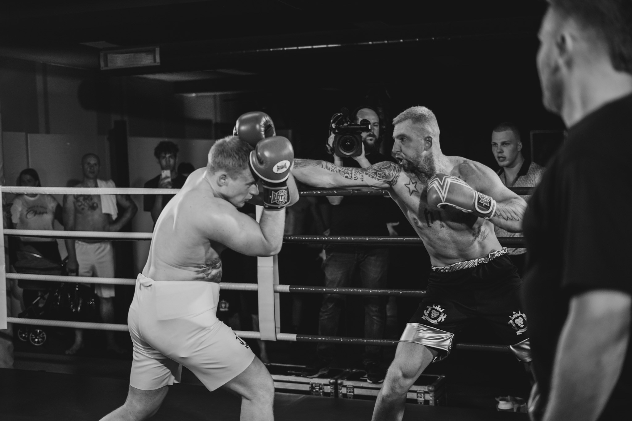 Галерея. Beardy Pix