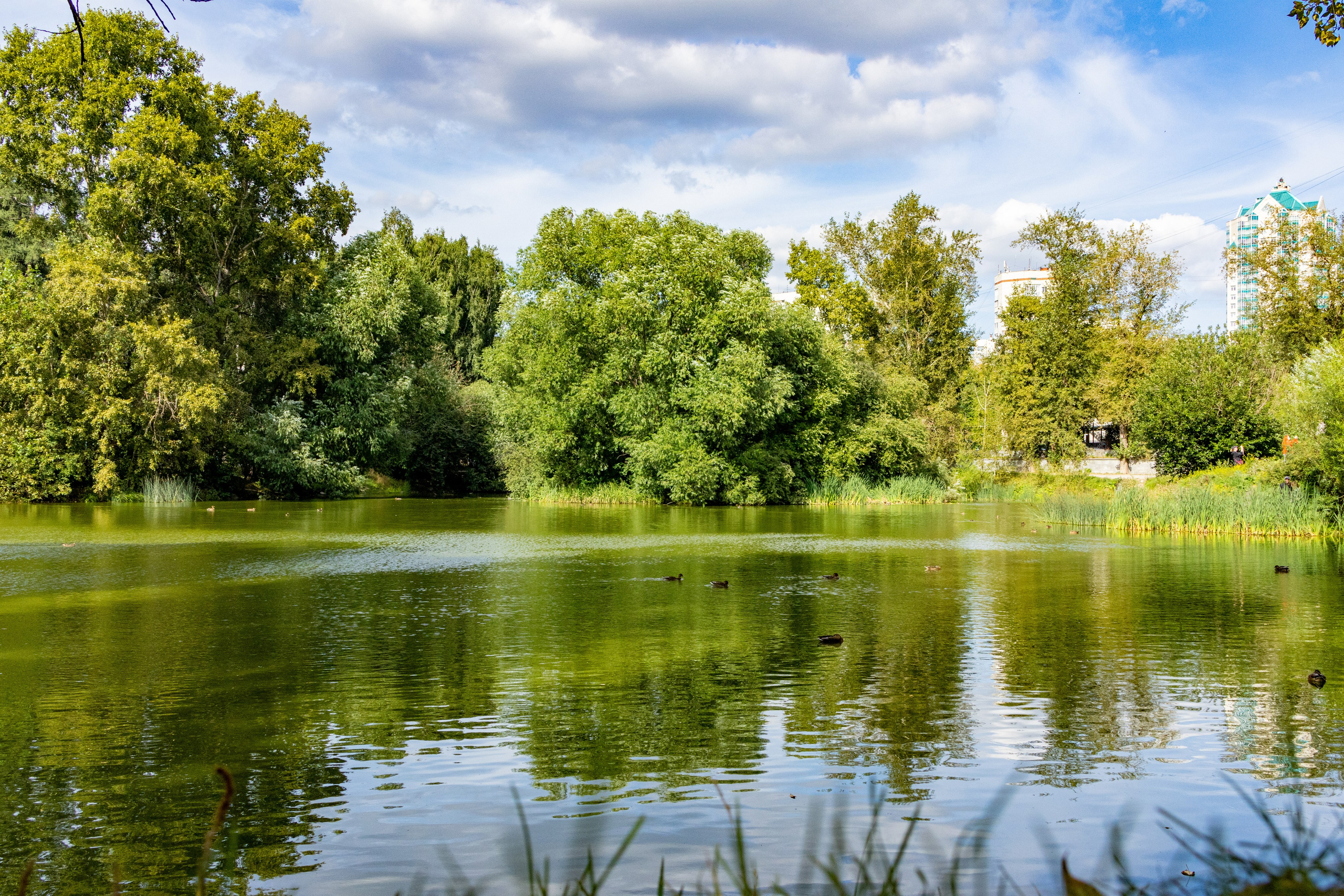 Екатеринбург. Jean De Vivre Gallery