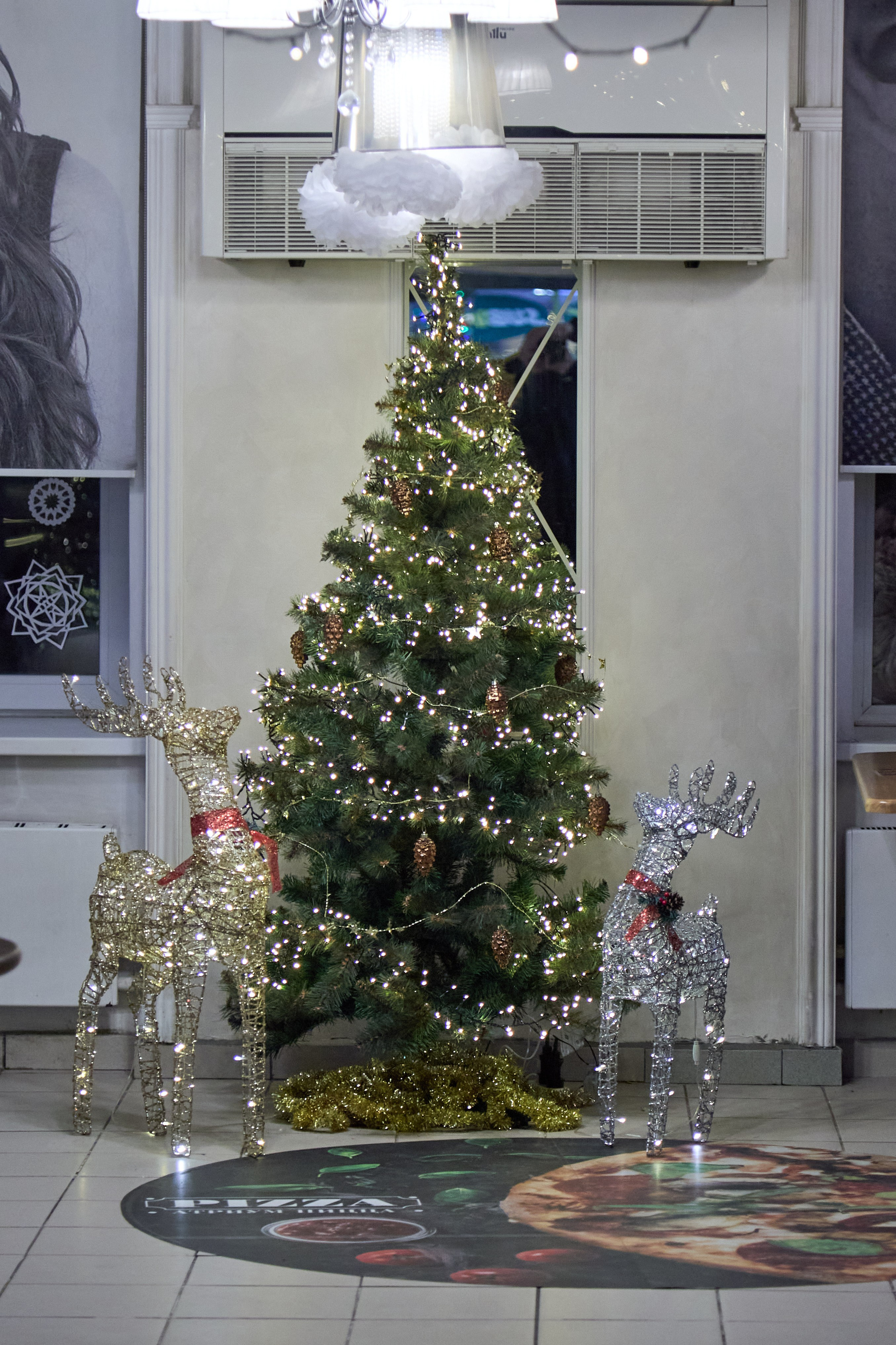 Новогодний Омск 2025. Фотограф Омск | Александр Вандеров