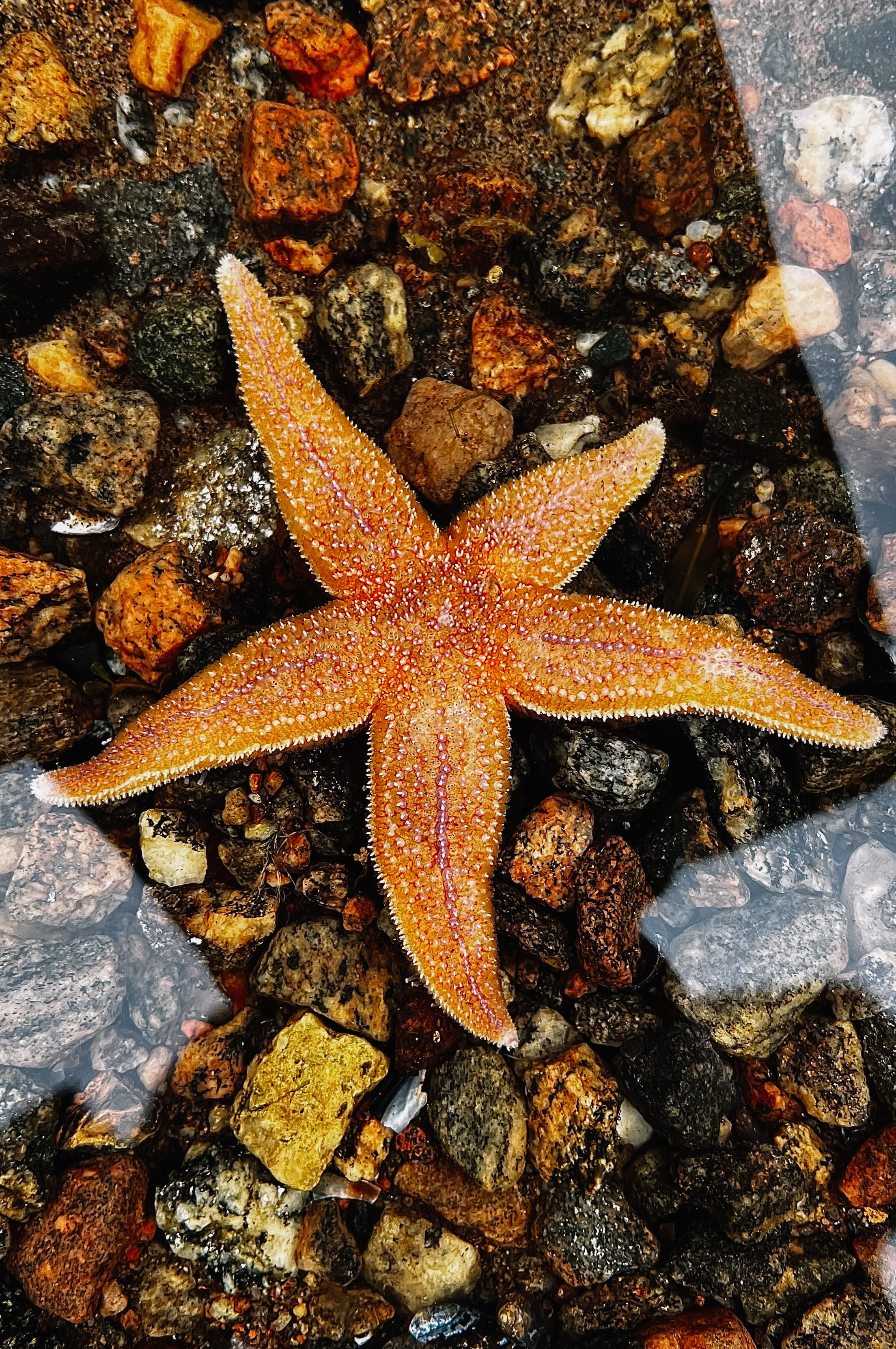 Спортивная фотосъемка, яхтинг, фотосъемка. Фотограф Ольга Че