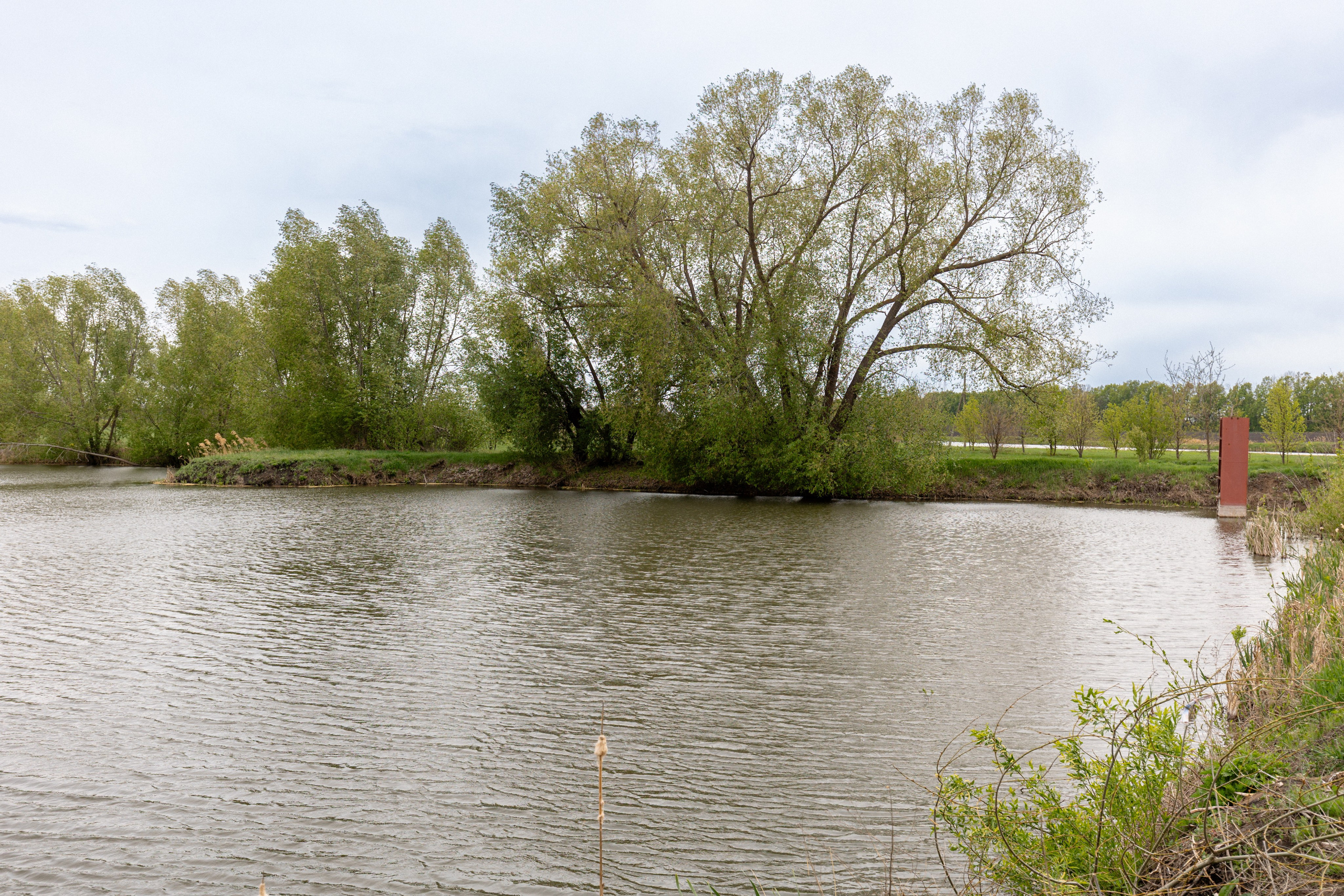 Приусадебный участок. Владислав Волков | Фотография и видеосъемка в Воронеже