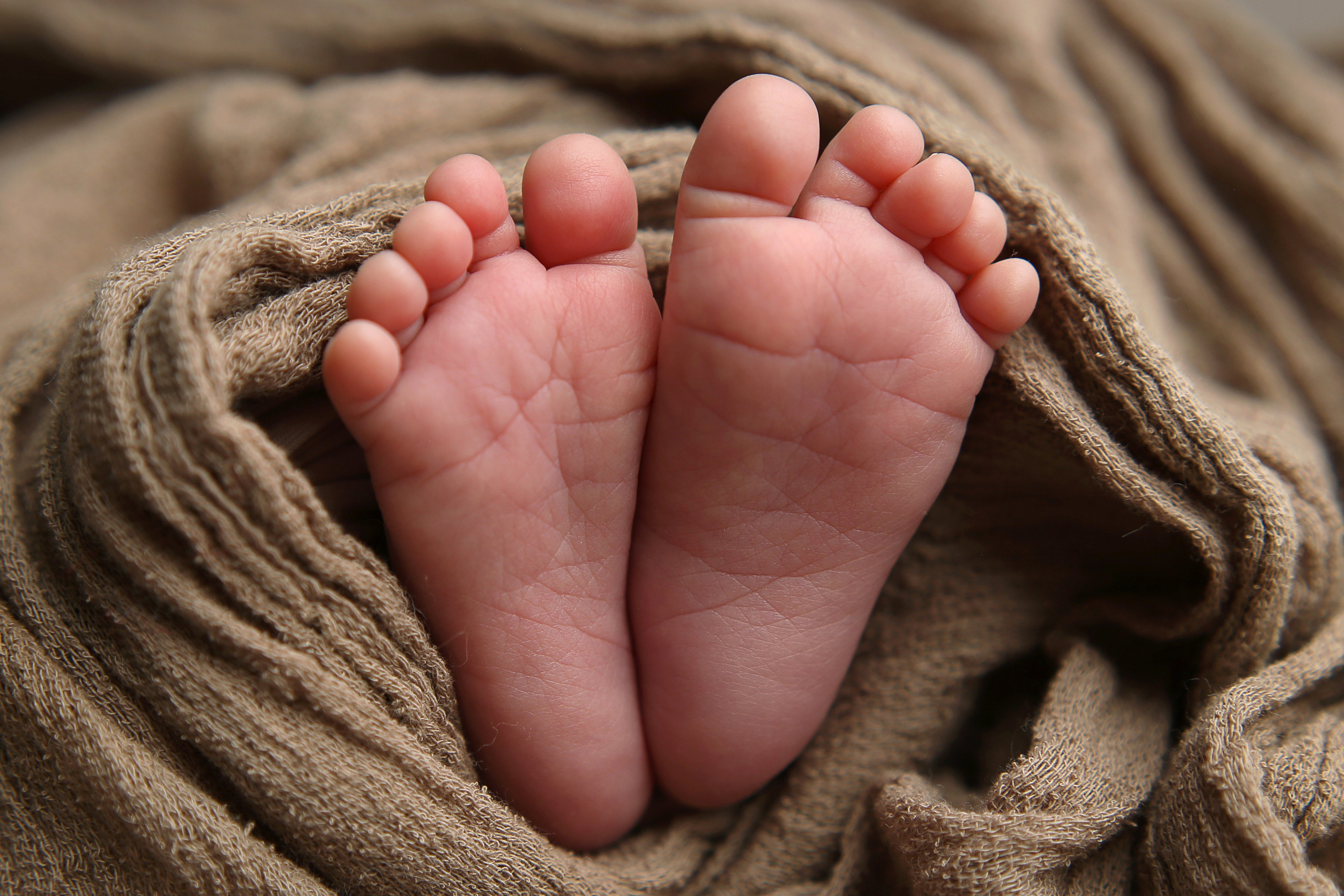 АГАТА (новорожденные). Главная