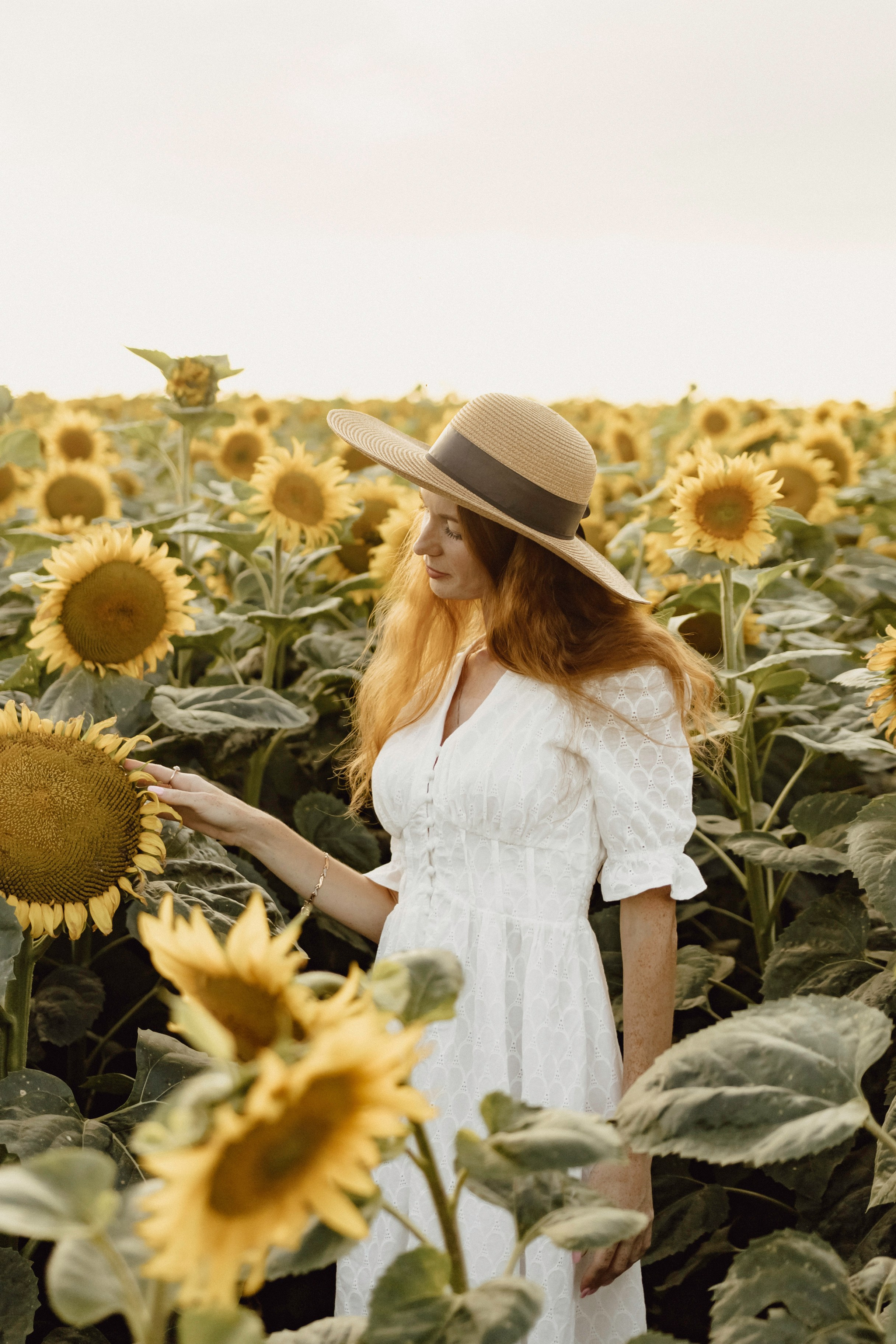 Елена в подсолнухах. Фотограф в Кирове и Кирово-Чепецке Валерия Шиляева