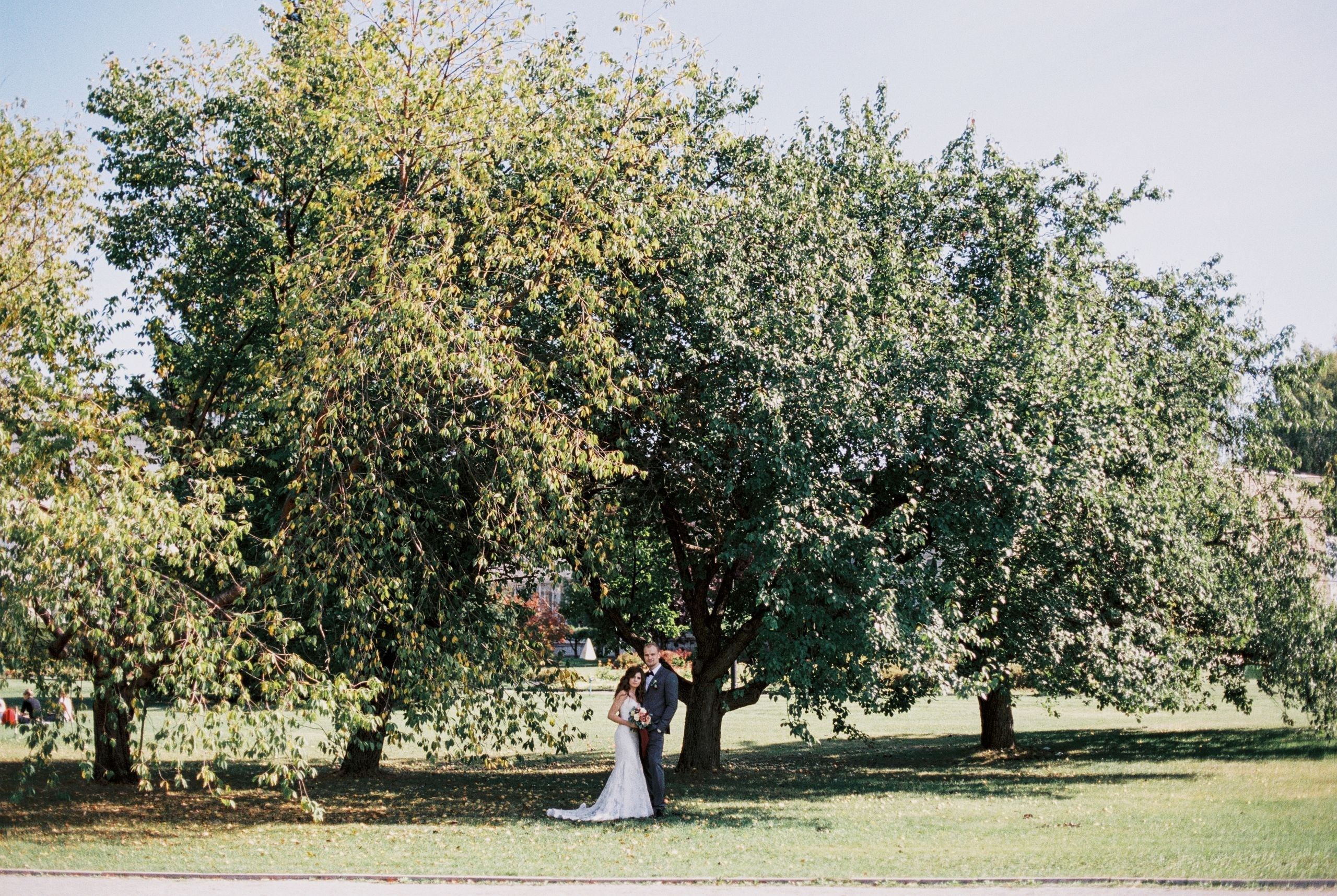 Солнце, яблоки и лодка. Фотограф Серафим Крюков