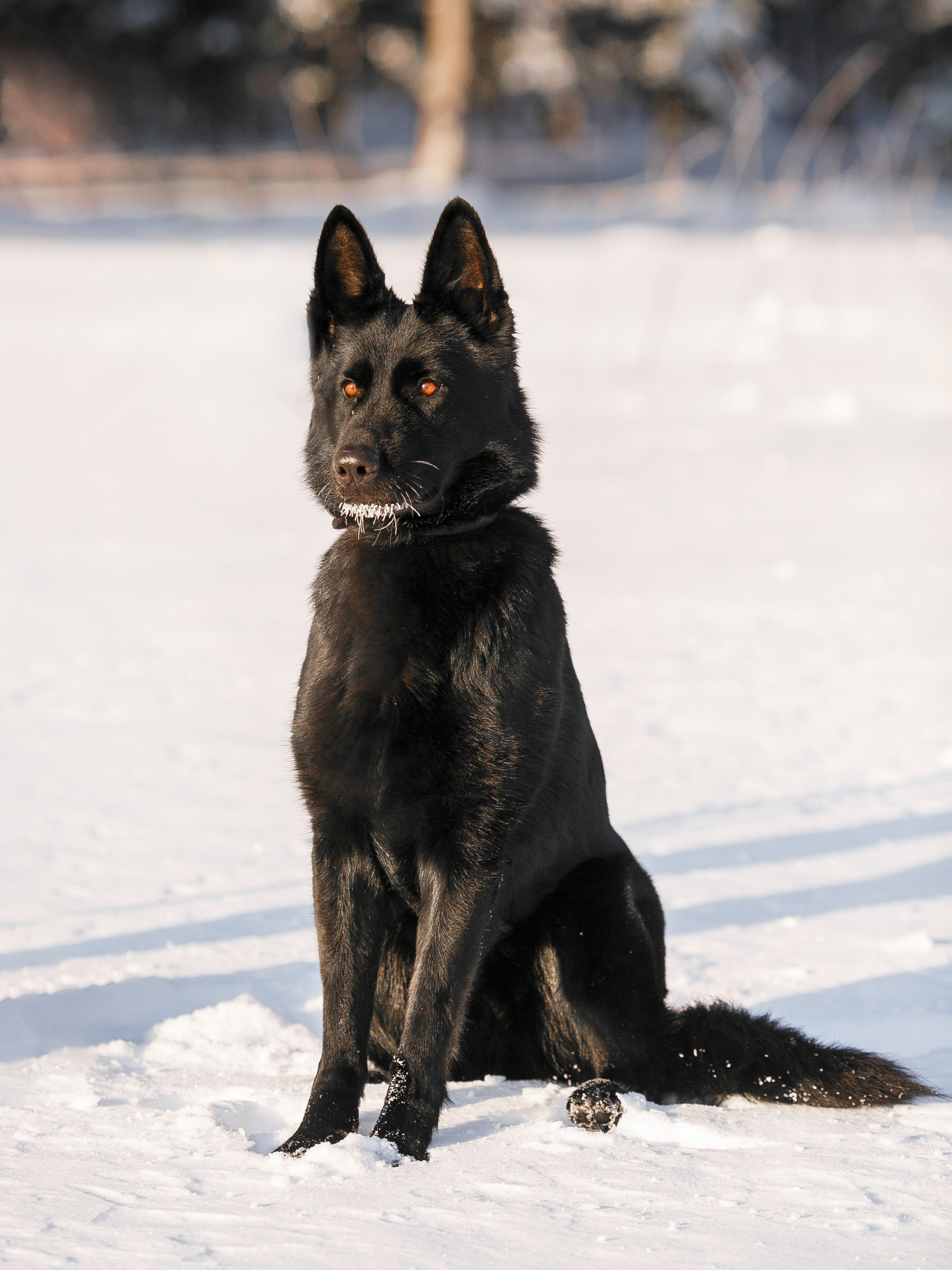 Репортажный фотограф Борис Геер