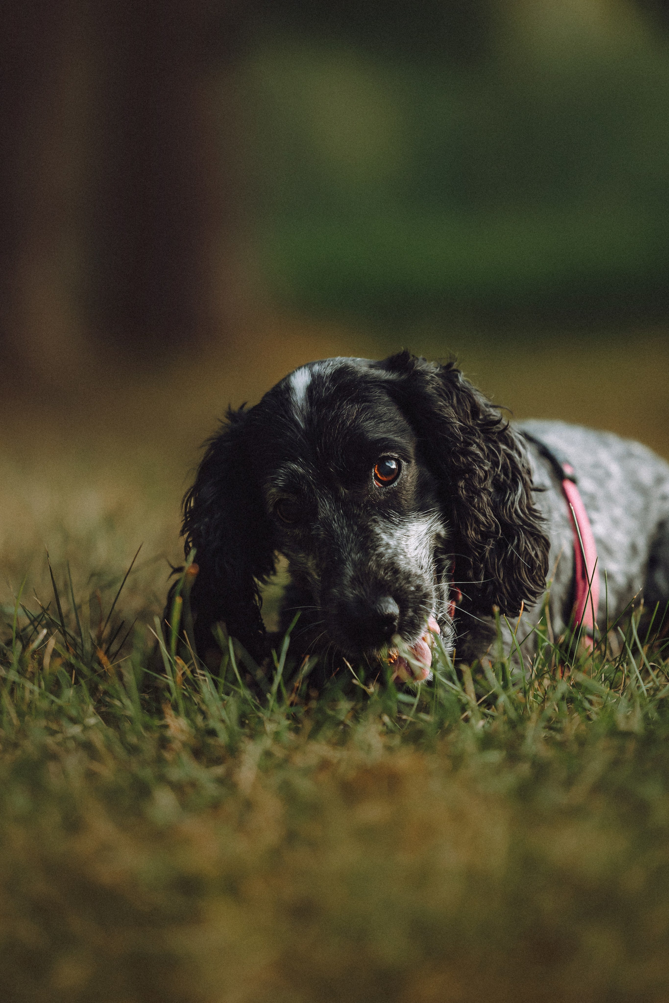 Маша и Ларри