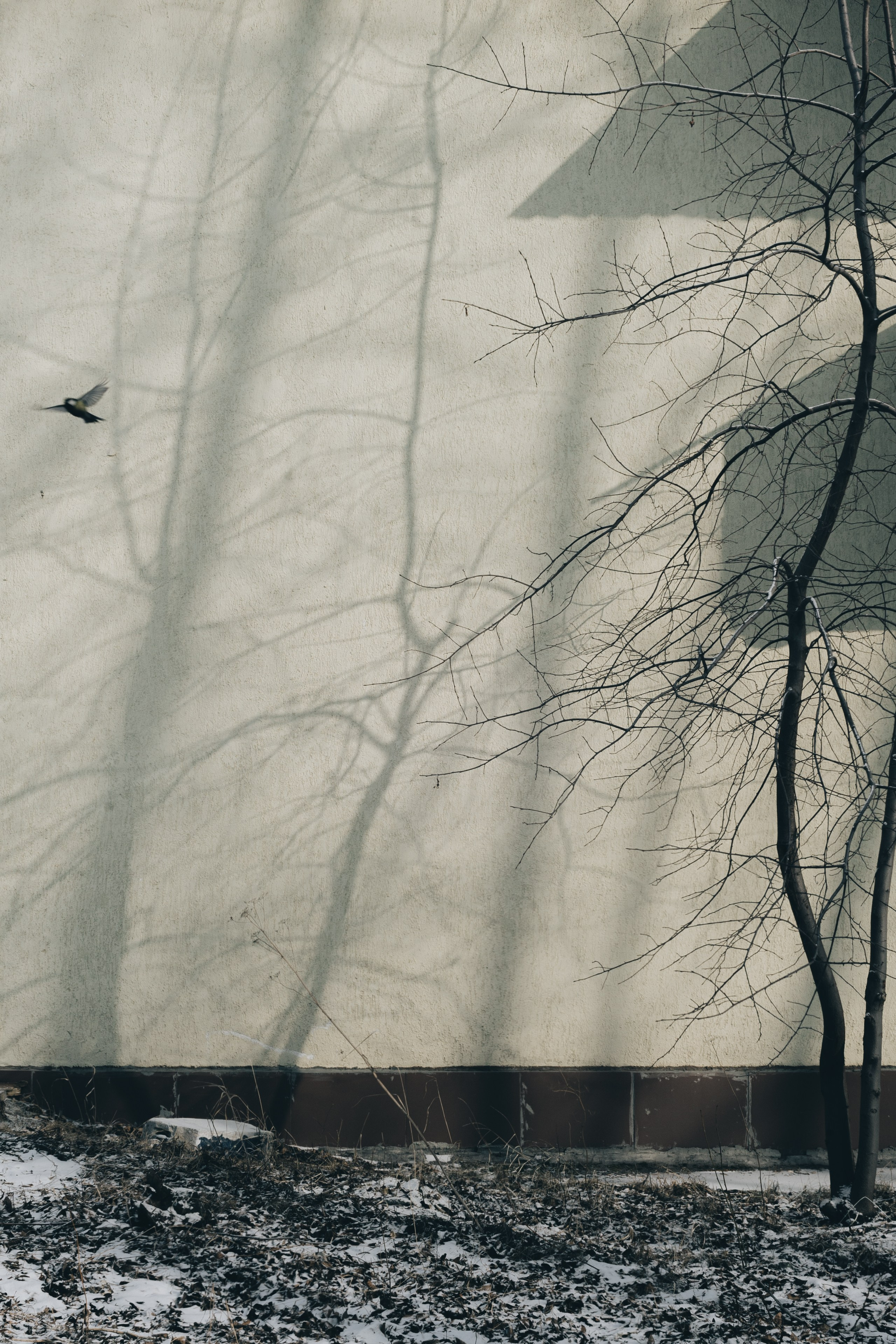 Гуляю то тут то там. Photographer Alik Melkonyan