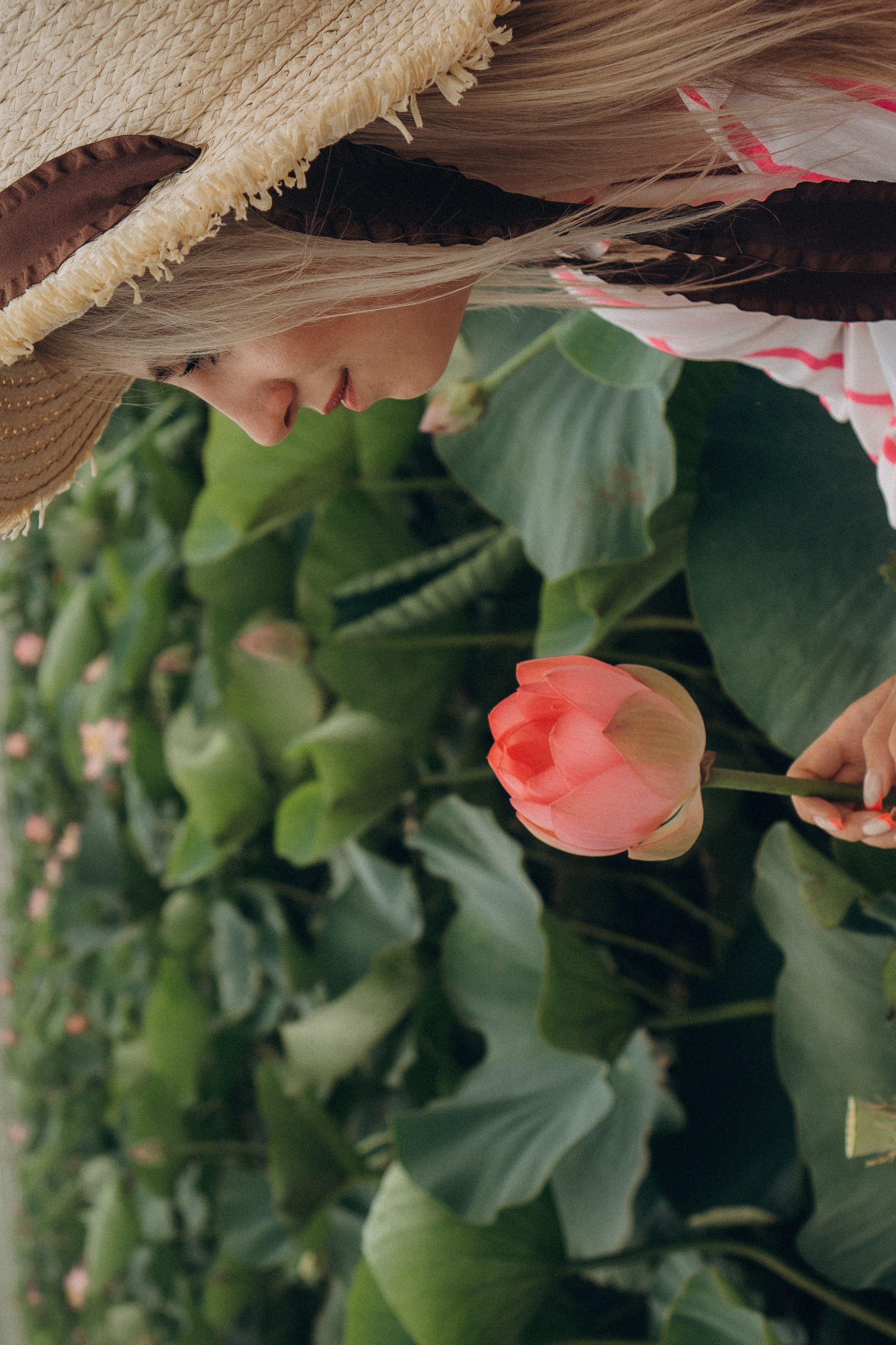 ЛОТОСОВАЯ ПОЛЯНА. Профессиональный фотограф, Санкт-Петербург — Виктория Богомолова
