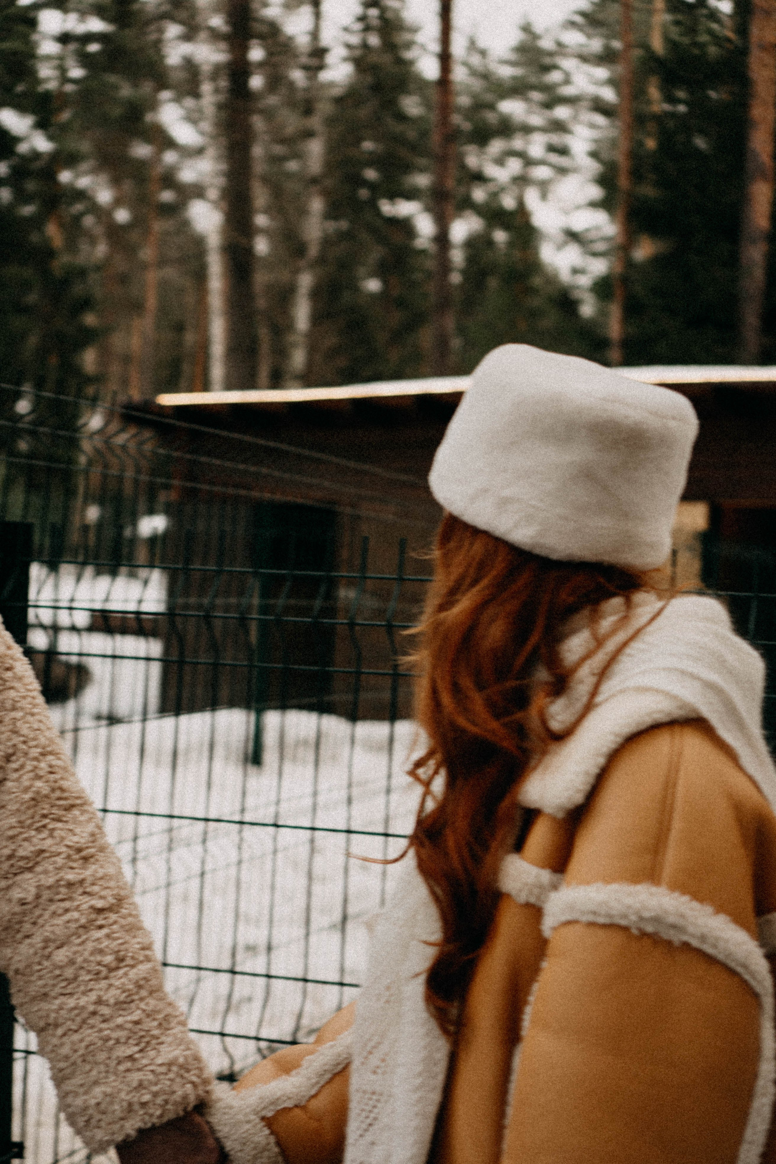 Каток. Профессиональный фотограф, Санкт-Петербург — Виктория Богомолова