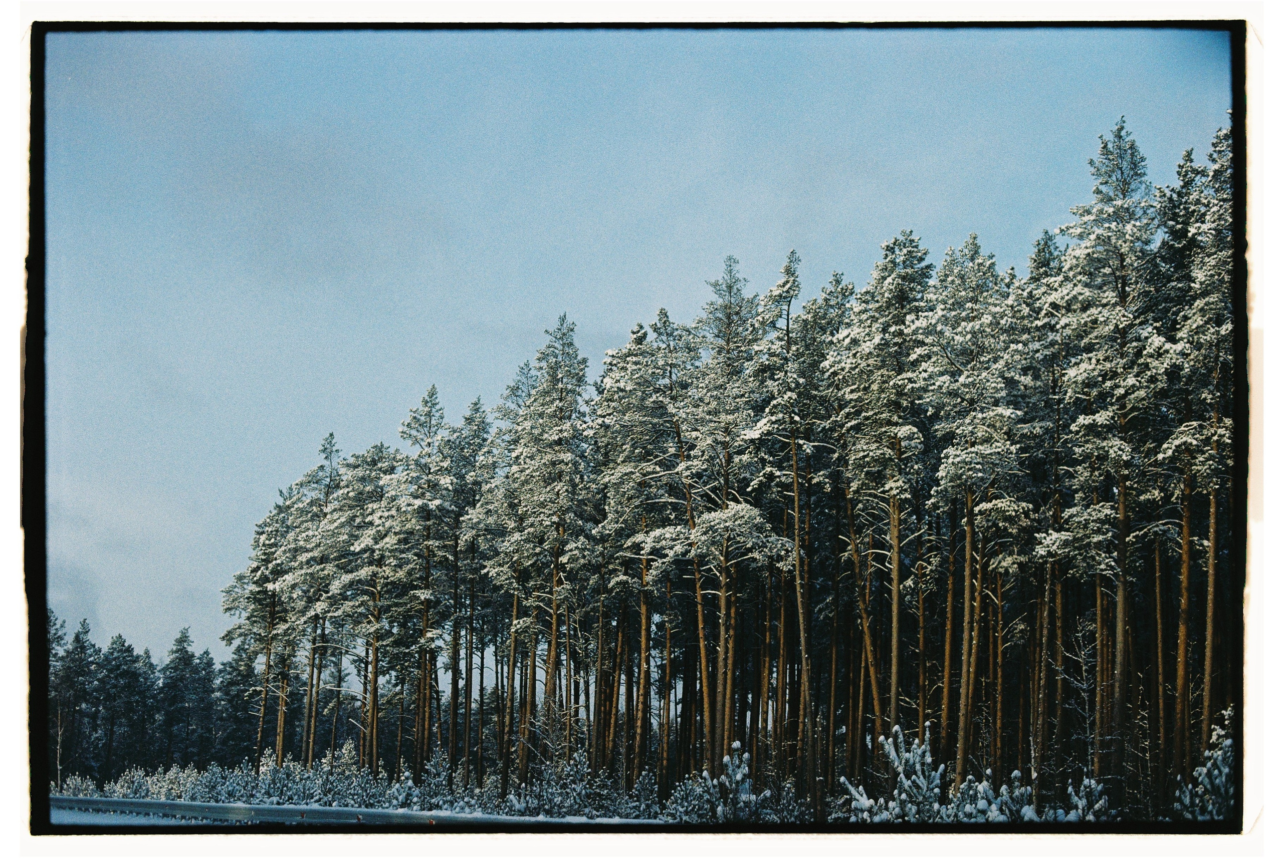 Пленка. Семейный свадебный фотограф Семен Егоров