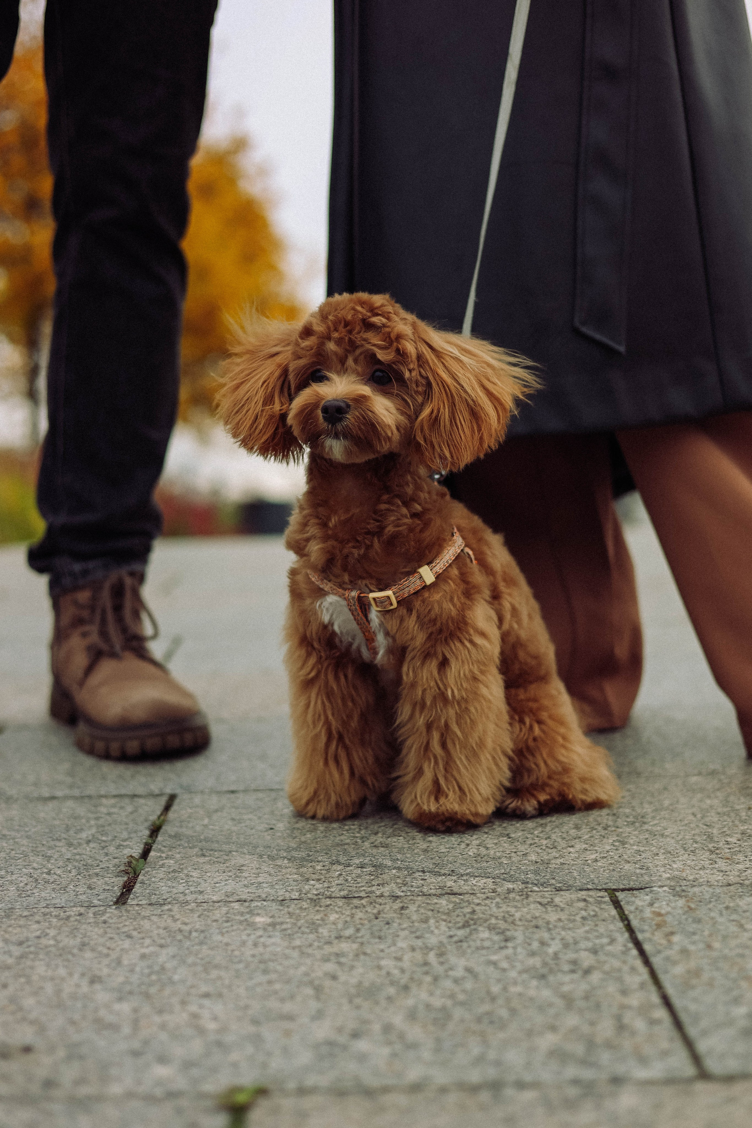 Кира. Фотограф в Москве Анастасия Калинина