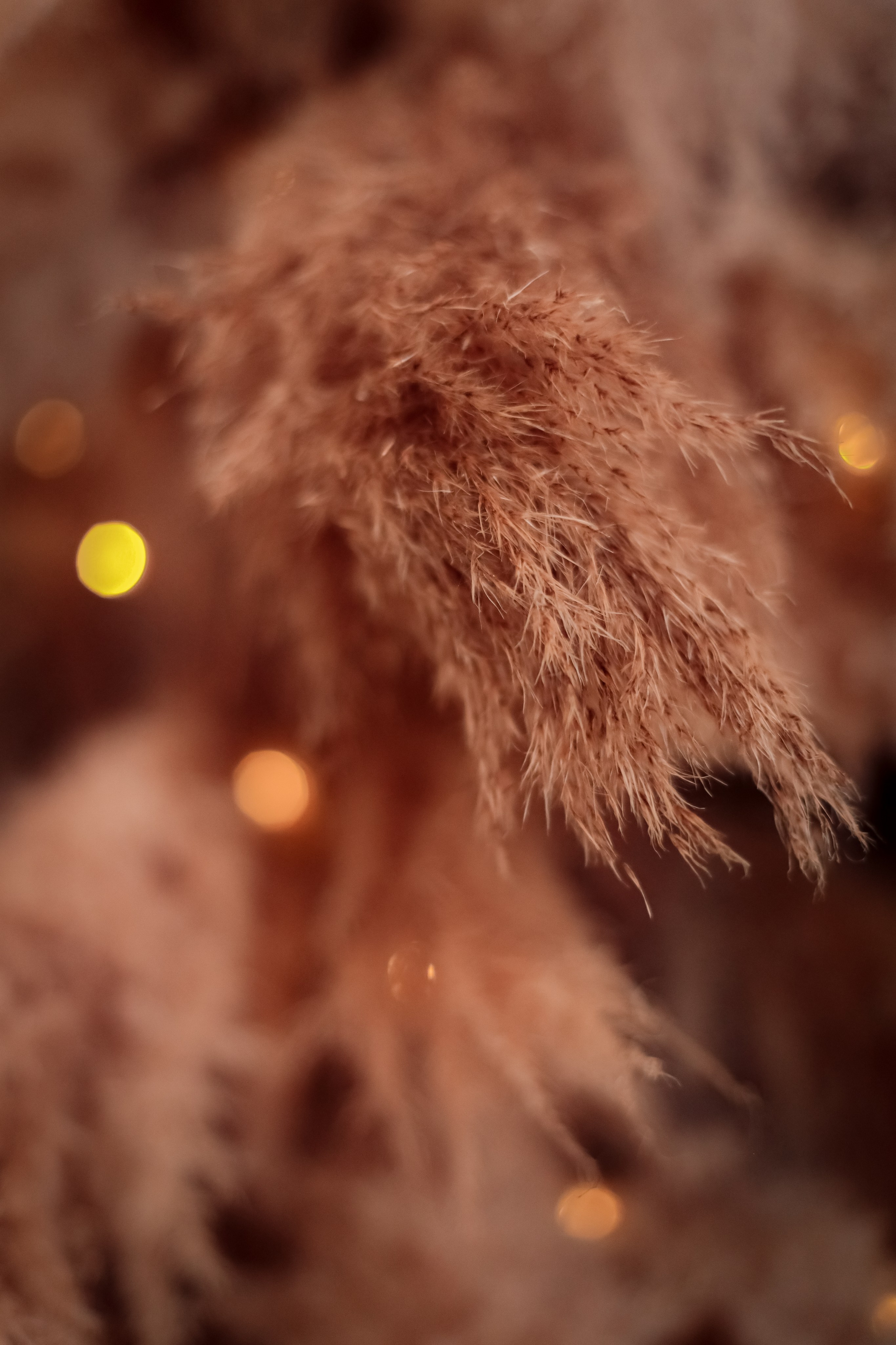 НОВОГОДНИЕ ФОТОСЕССИИ. Фотограф г. Хабаровск. Семейные и индивидуальные съёмки