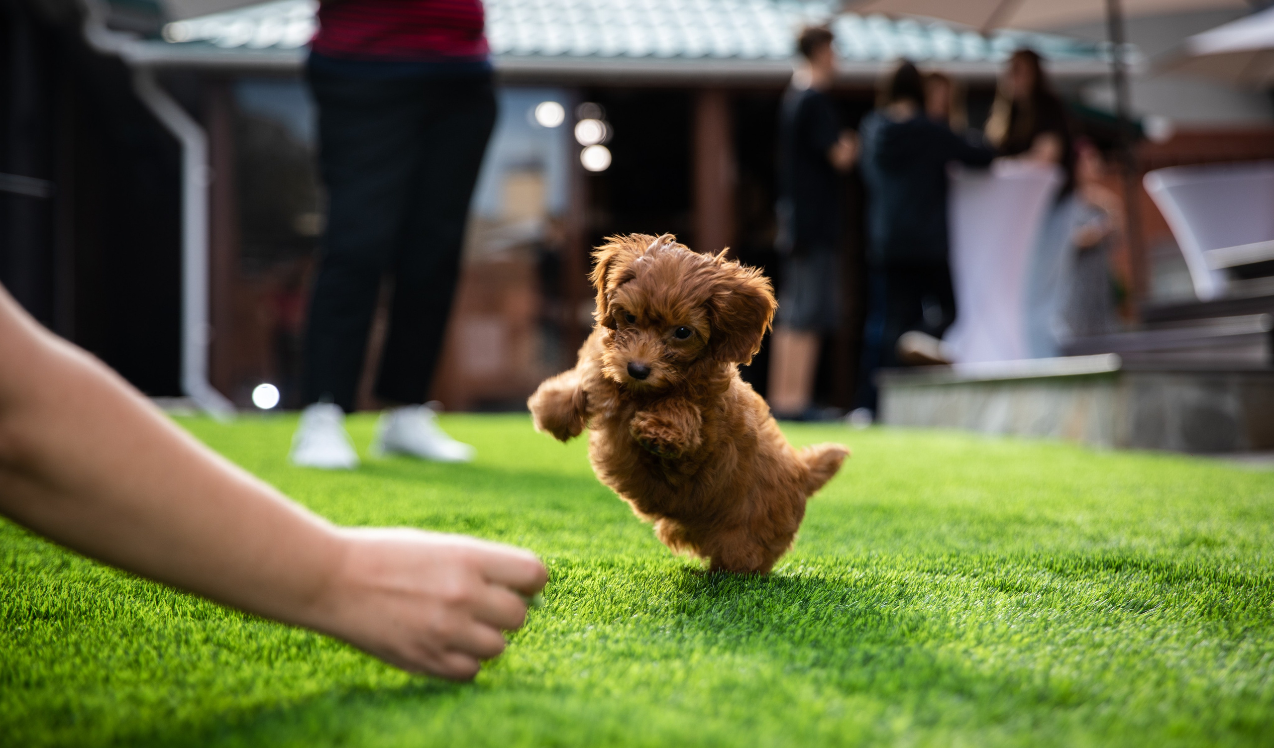 День Рождения Егорки -2025. VoronEvent. Репортажный и свадебный фотограф в Челябинске Елисеев Павел