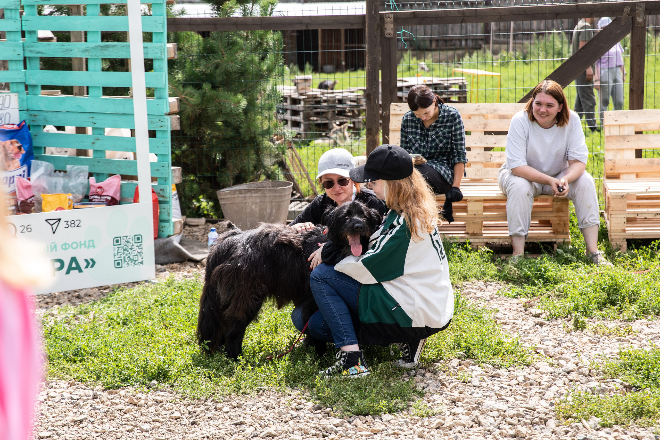 Приют — Наш дом. Репортажный и свадебный фотограф в Челябинске Елисеев Павел