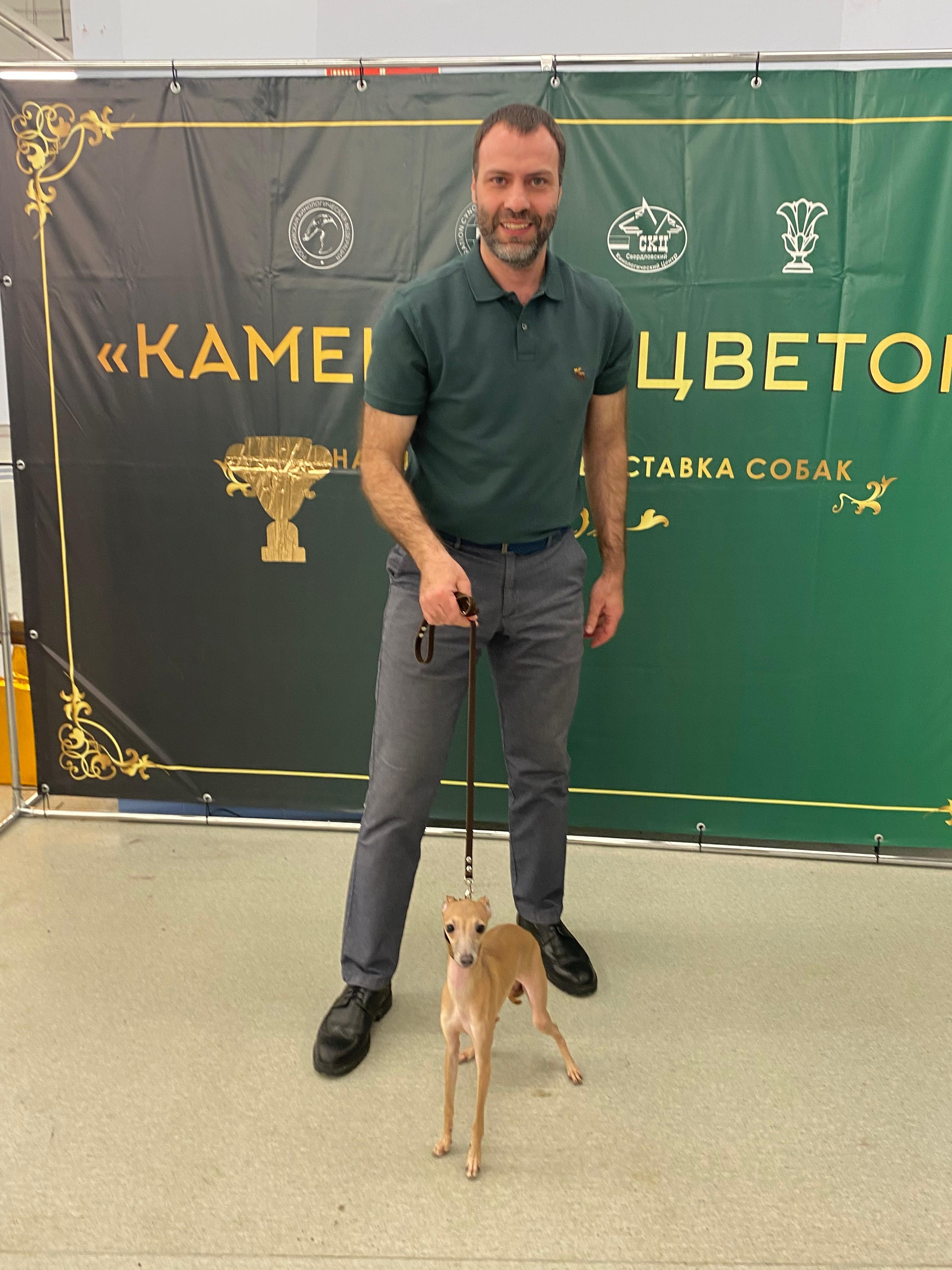 Выпускники ЧЕМПИОНЫ. Профессиональный питомник левреток РКФ/FCI ASTI SAPPHIRE 💎 Сочи|Санкт-Петербург