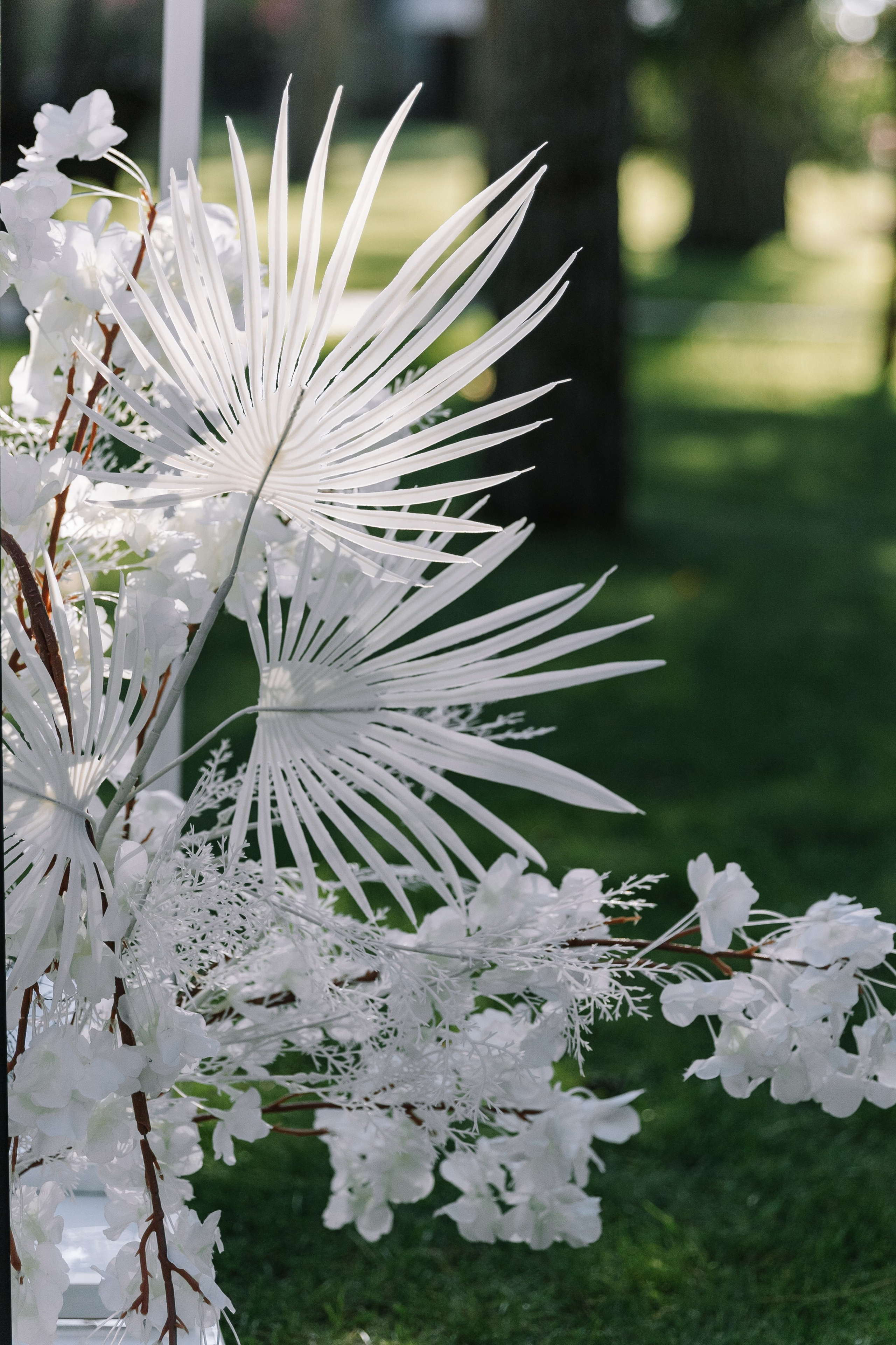 В первый день сентября. Фотограф Елена Краснопевцева