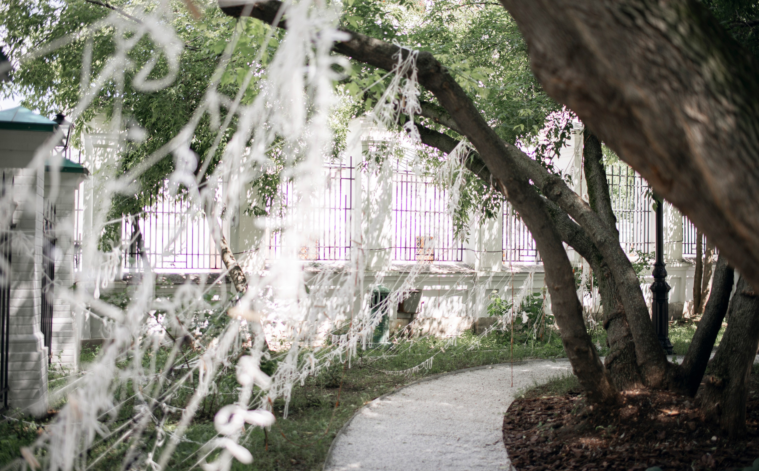 Выставка в доме Третьяковых. Фотограф в Москве Алейникова Евгения