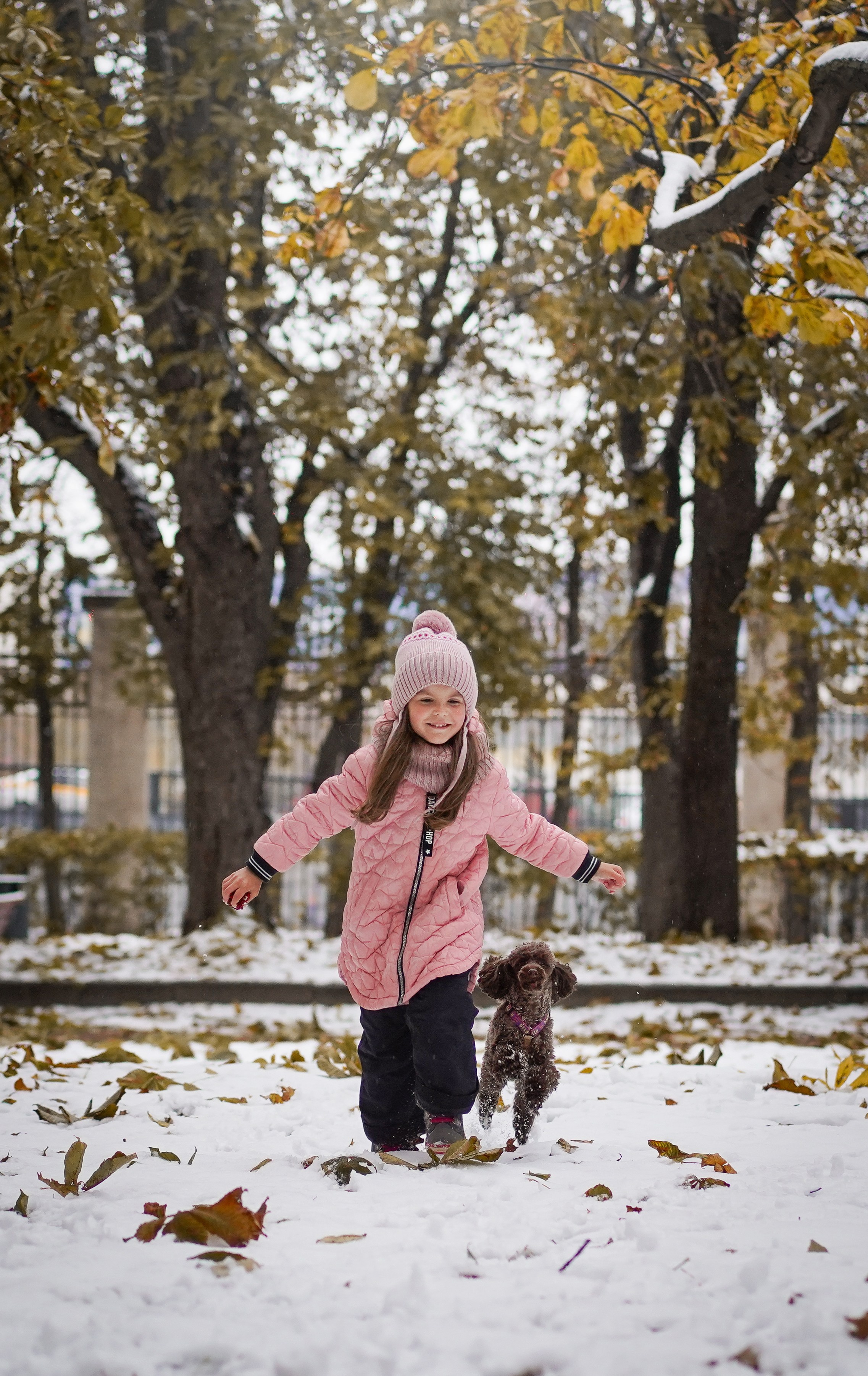 Марина Артем Мия и Хлоя. Фотограф-анималист в Санкт-Петербурге Яна Мартынова