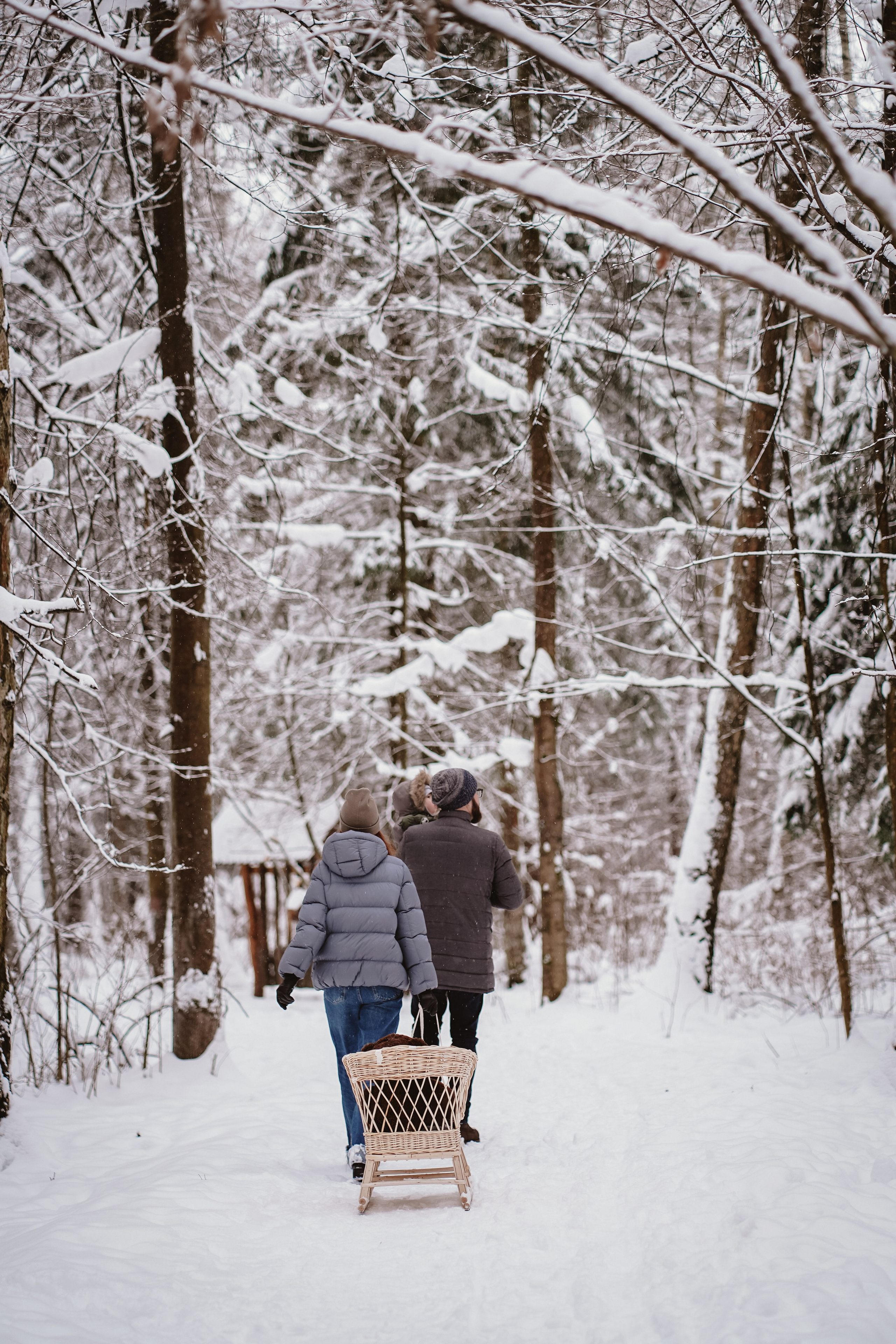 Лев с родителями. Семейный и детский фотограф в Москве (Тинао) Галкина Алевтина
