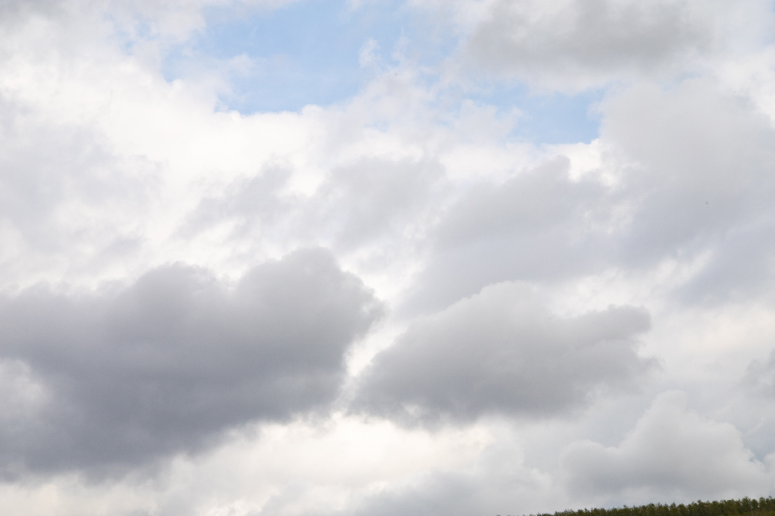 Природа. Фотограф в Южно-Сахалинске Гусаков Евгений