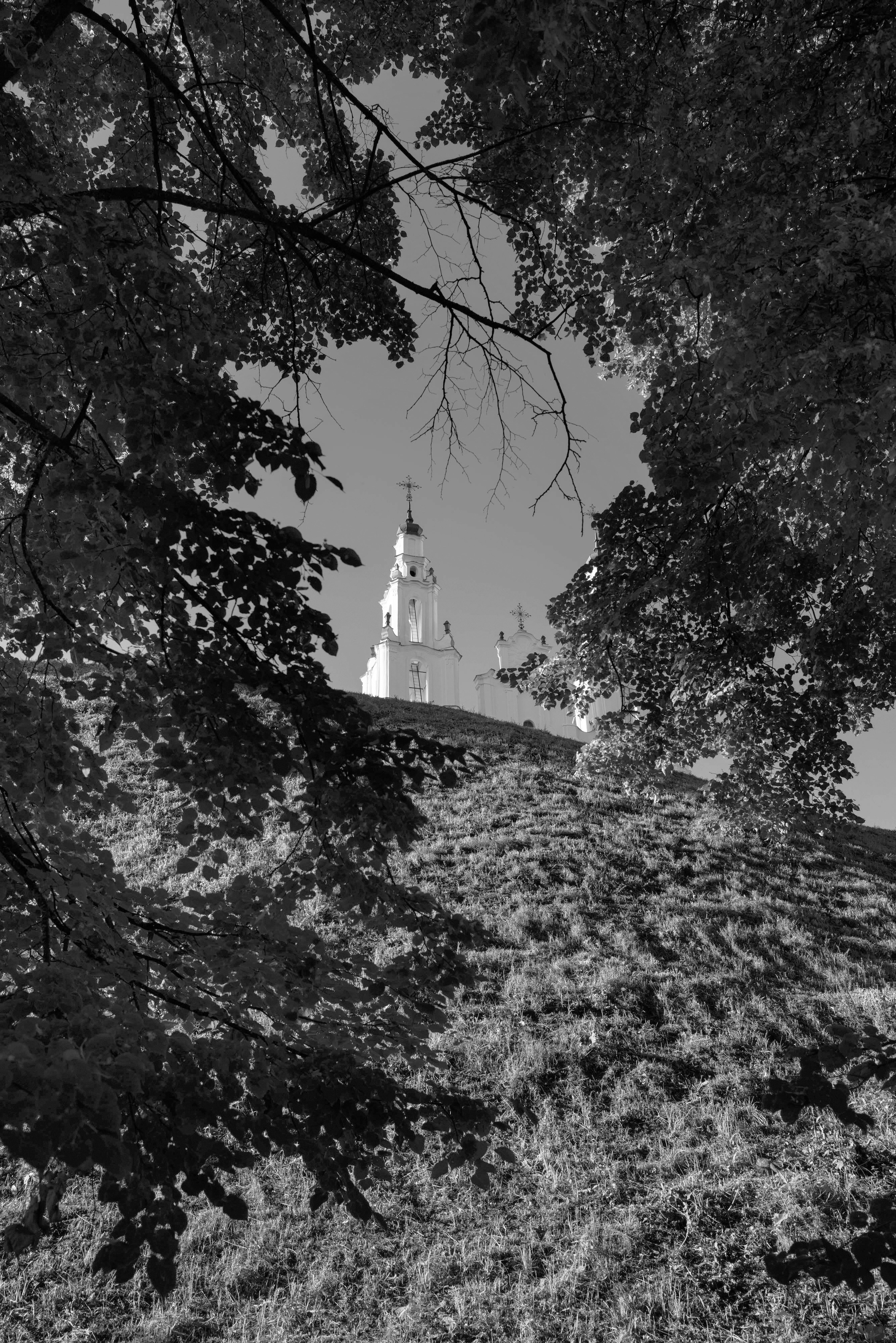 Мир тропы. Tatiana Mishchenko