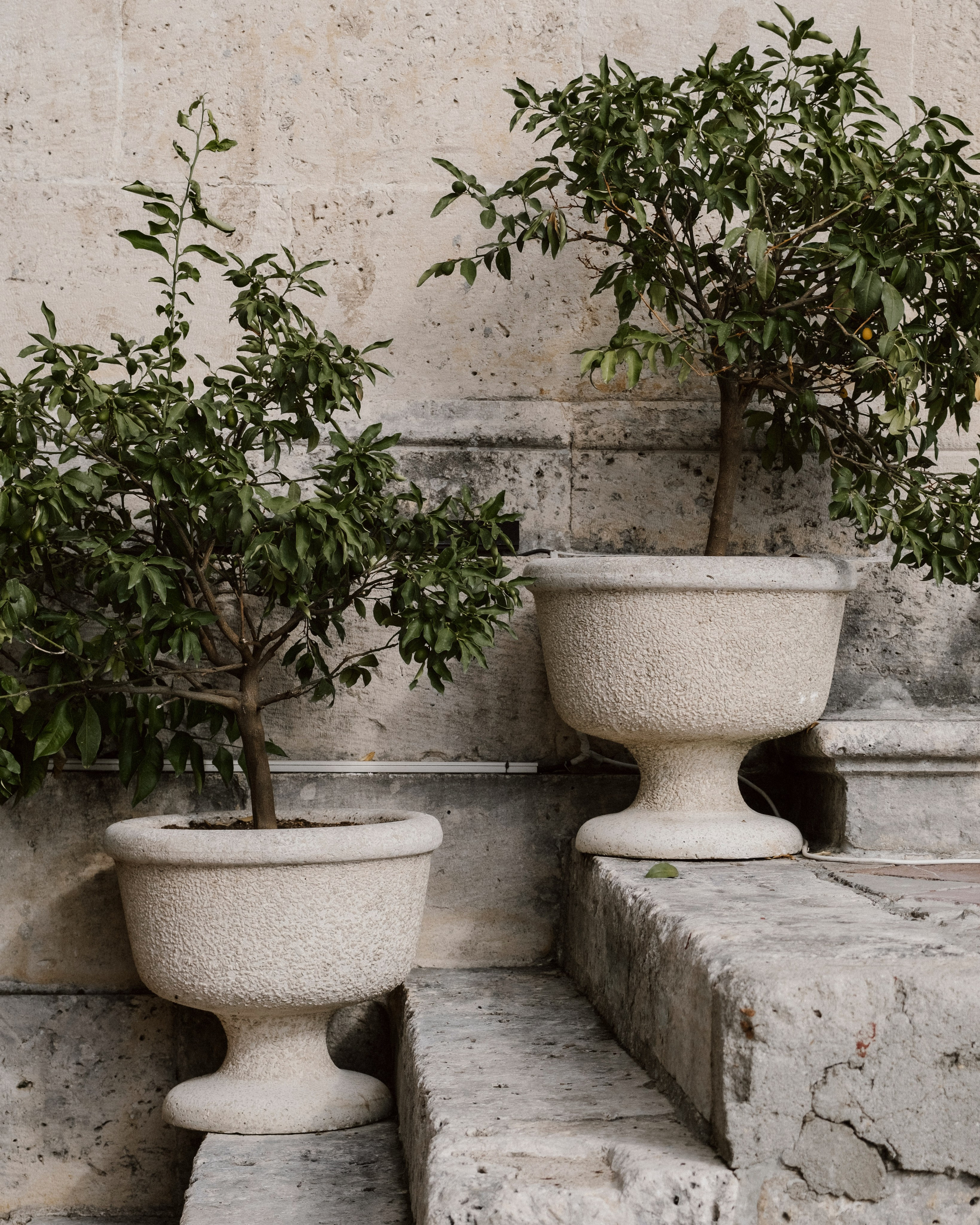 Анна и Александр. Свадьба в Перасте. Семейный и свадебный фотограф в Краснодаре