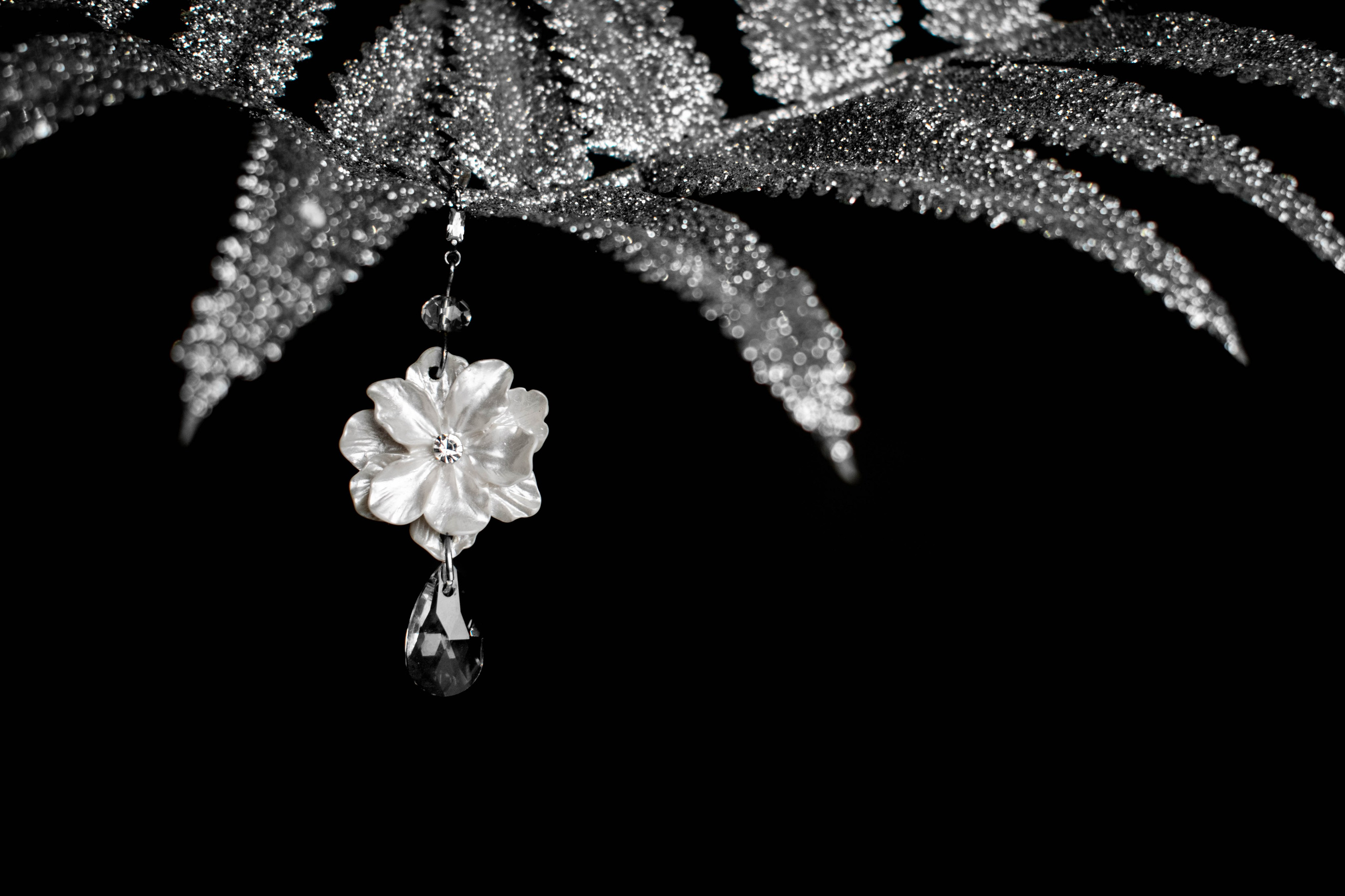 Белая сережка в виде цветка на серебренной ветке на черном фоне