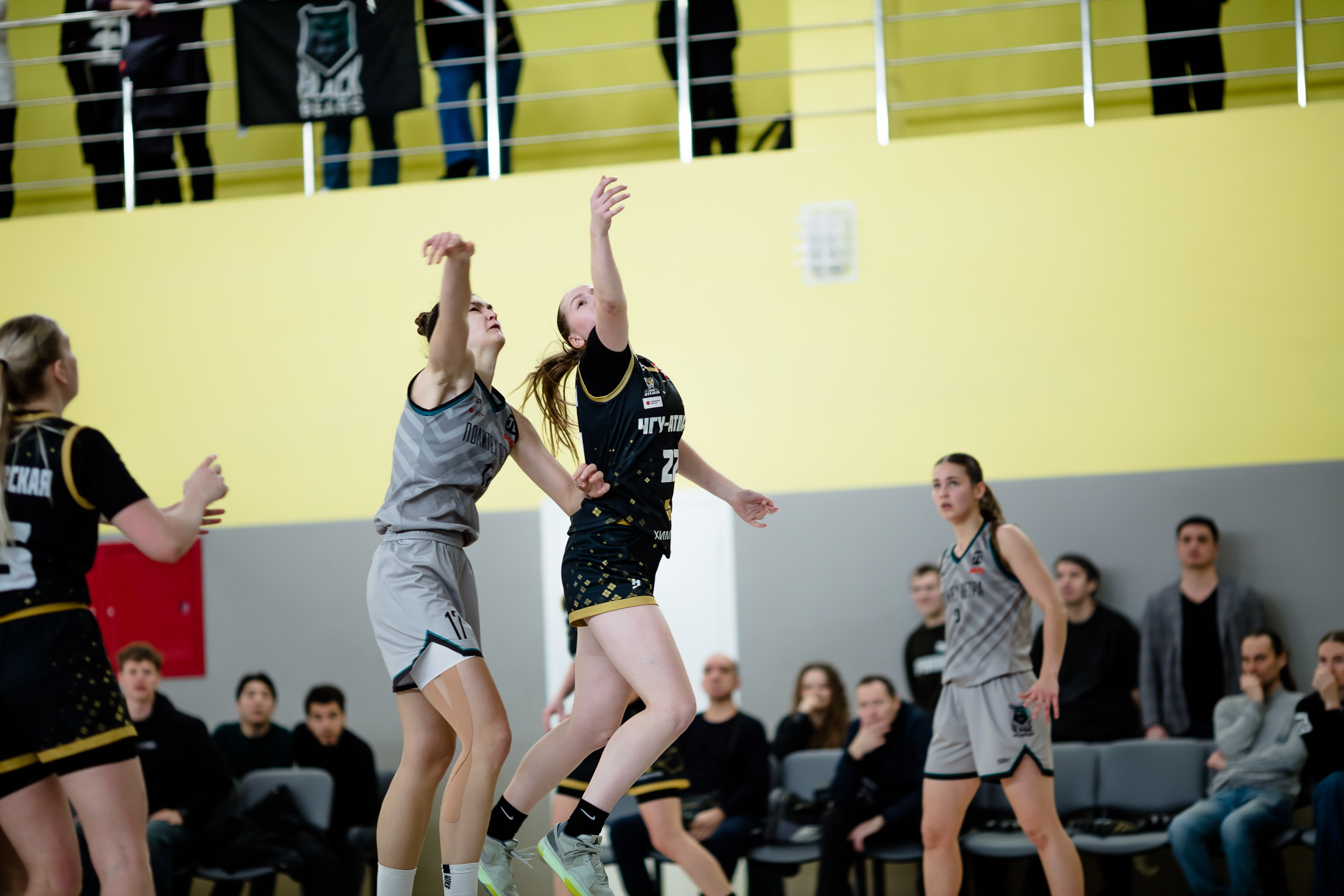 АСБ / ЧГУ-Атланта-ЧМ. Фотография