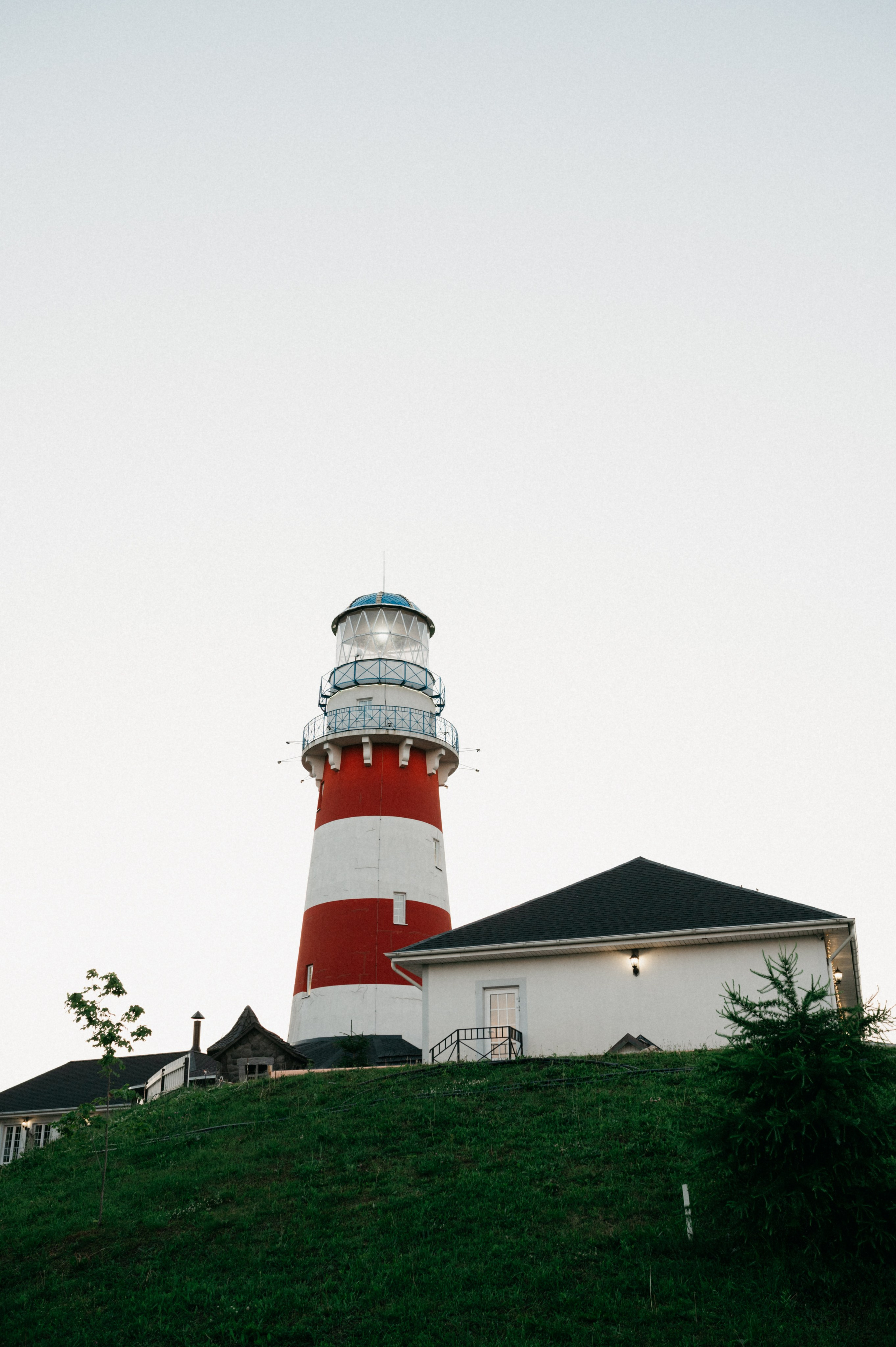 Таня и её пушистые друзья. Фотограф анималист в Москве Ольга Агушева