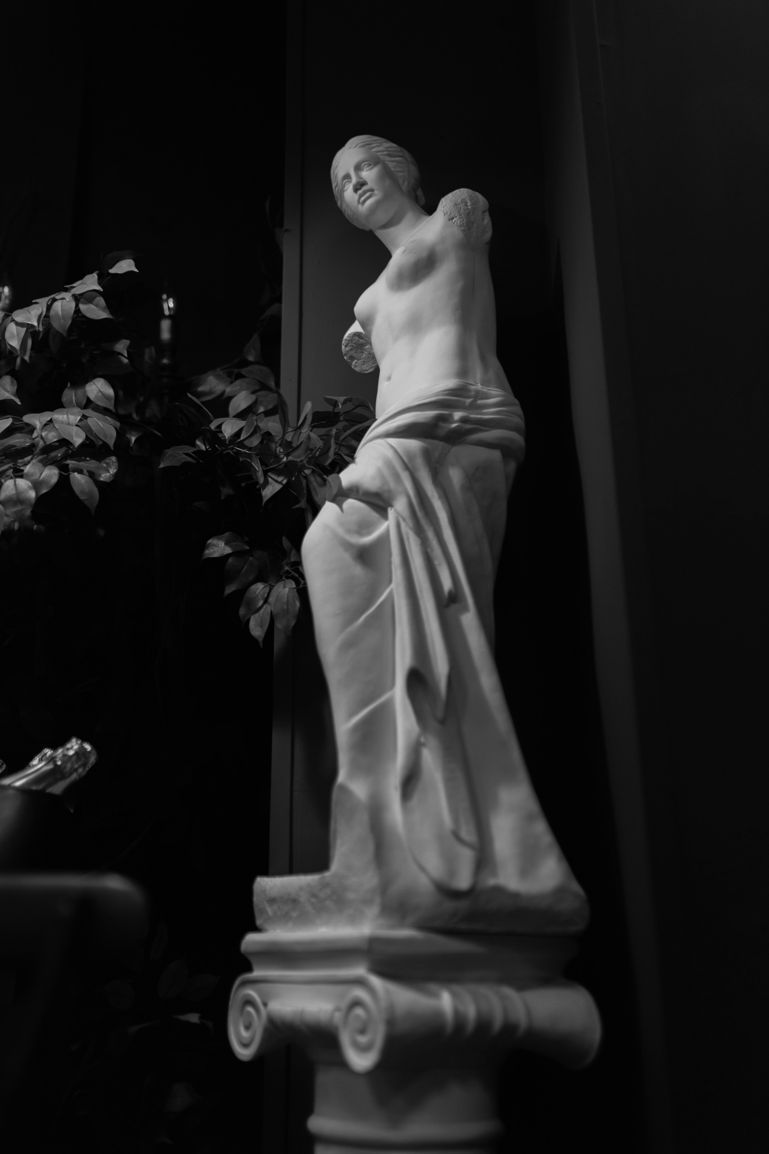 Правда Бар. Свадебный фотограф | Москва