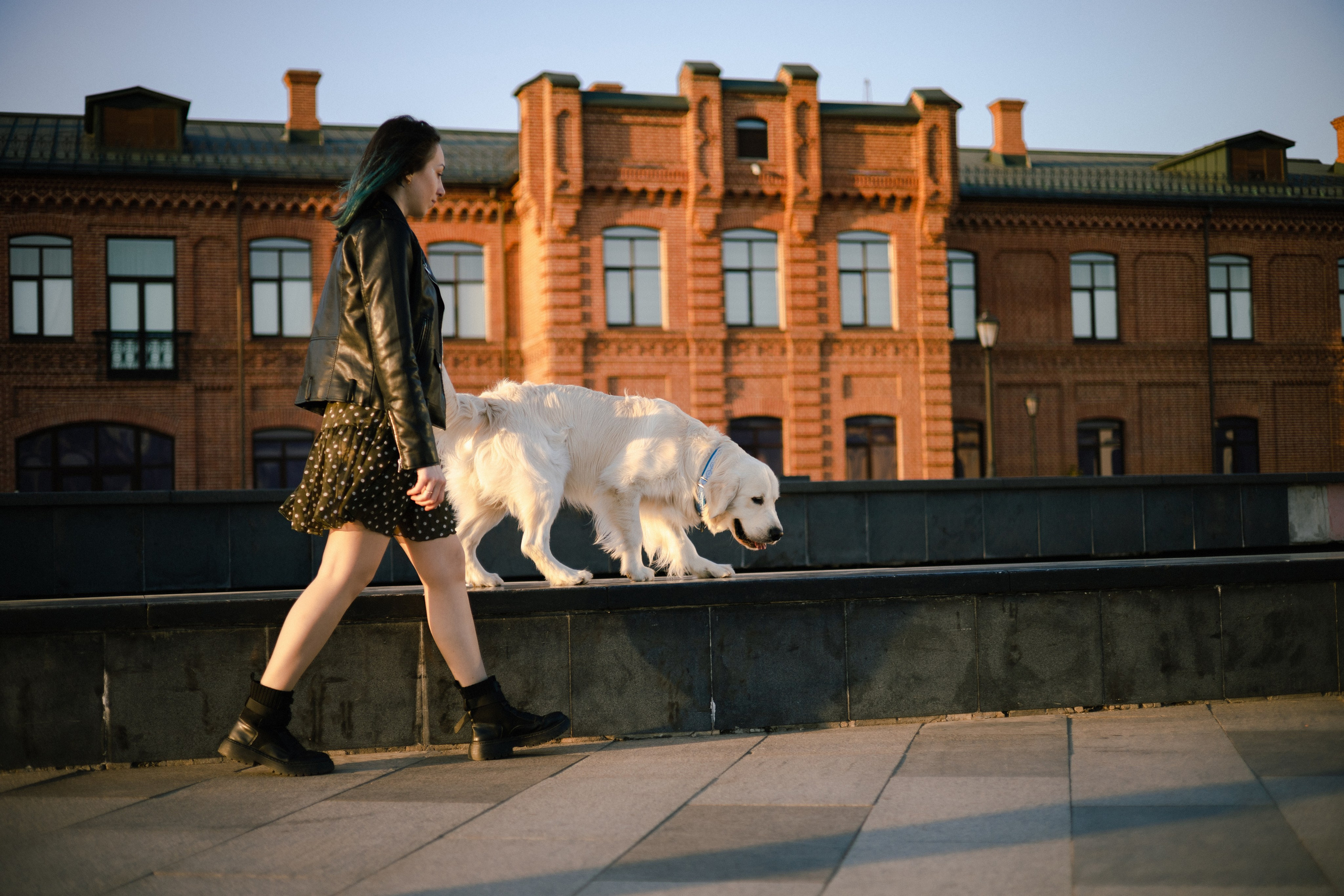 Ира и Байрон. Фотограф — анималист Владивосток, Алина