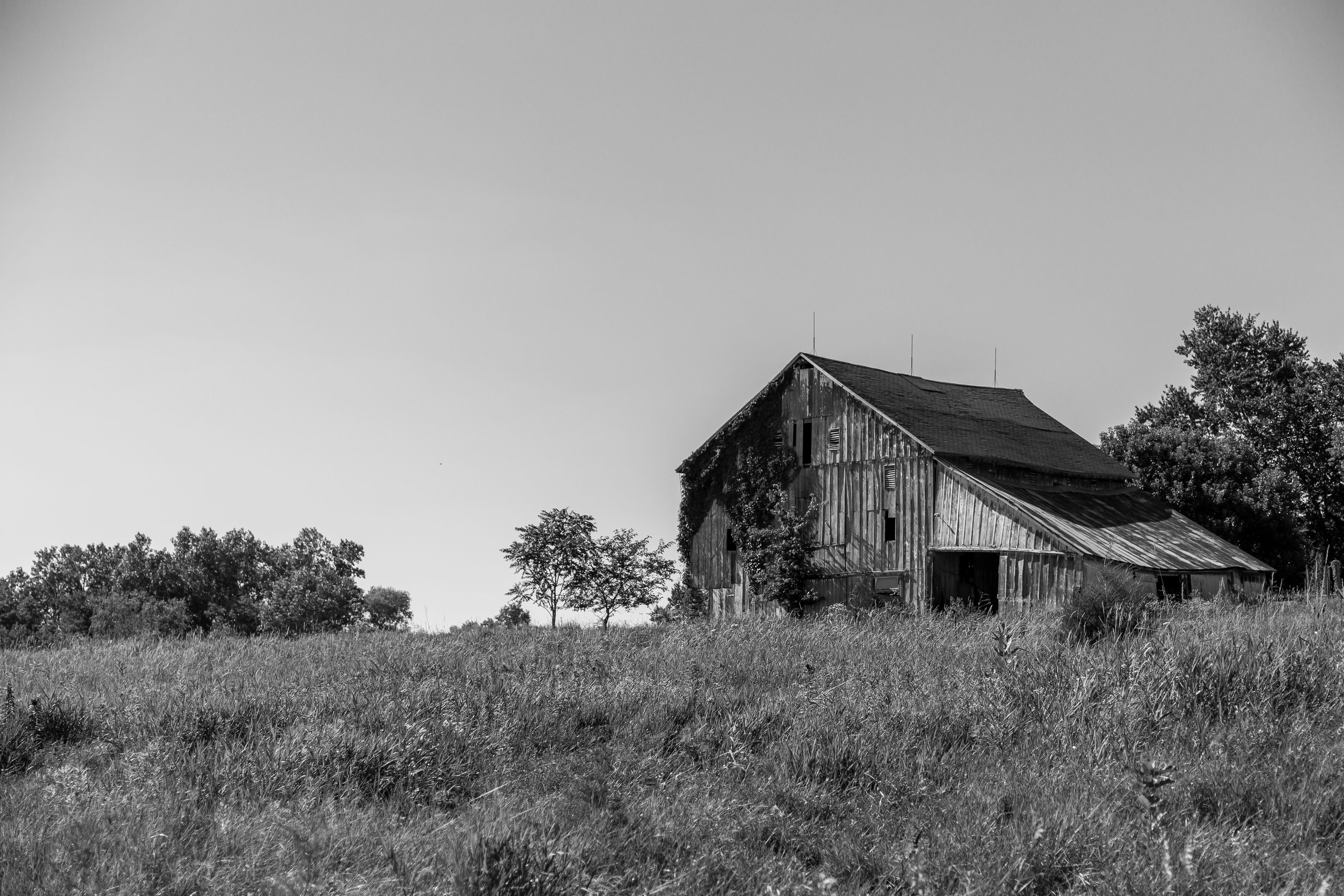 Формы и архитектоника здания амбара в городе Фэрфилд. Проект фотографа Александра Высокина — «Фотоархитектоника»