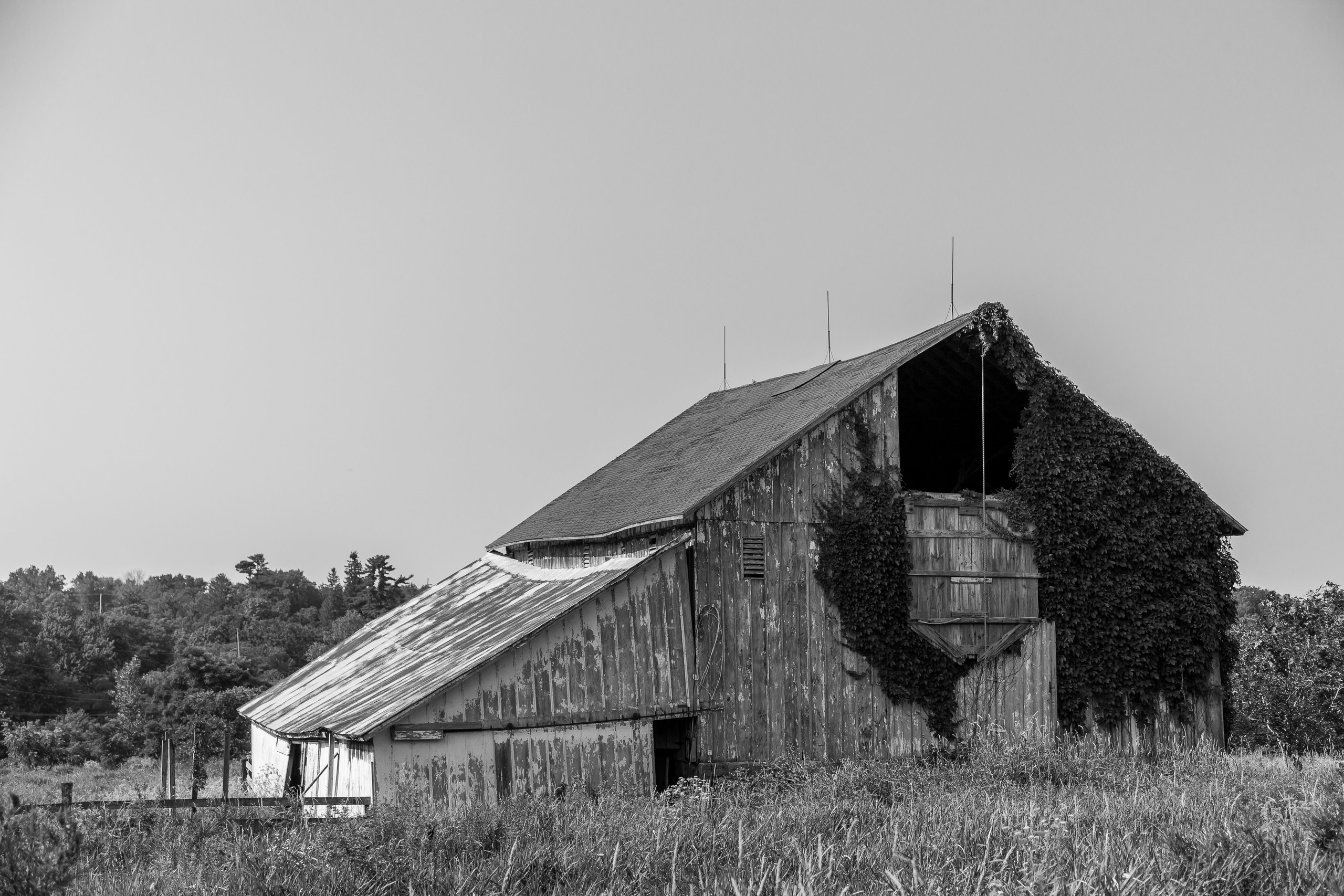 Формы и архитектоника здания амбара в городе Фэрфилд. Проект фотографа Александра Высокина — «Фотоархитектоника»