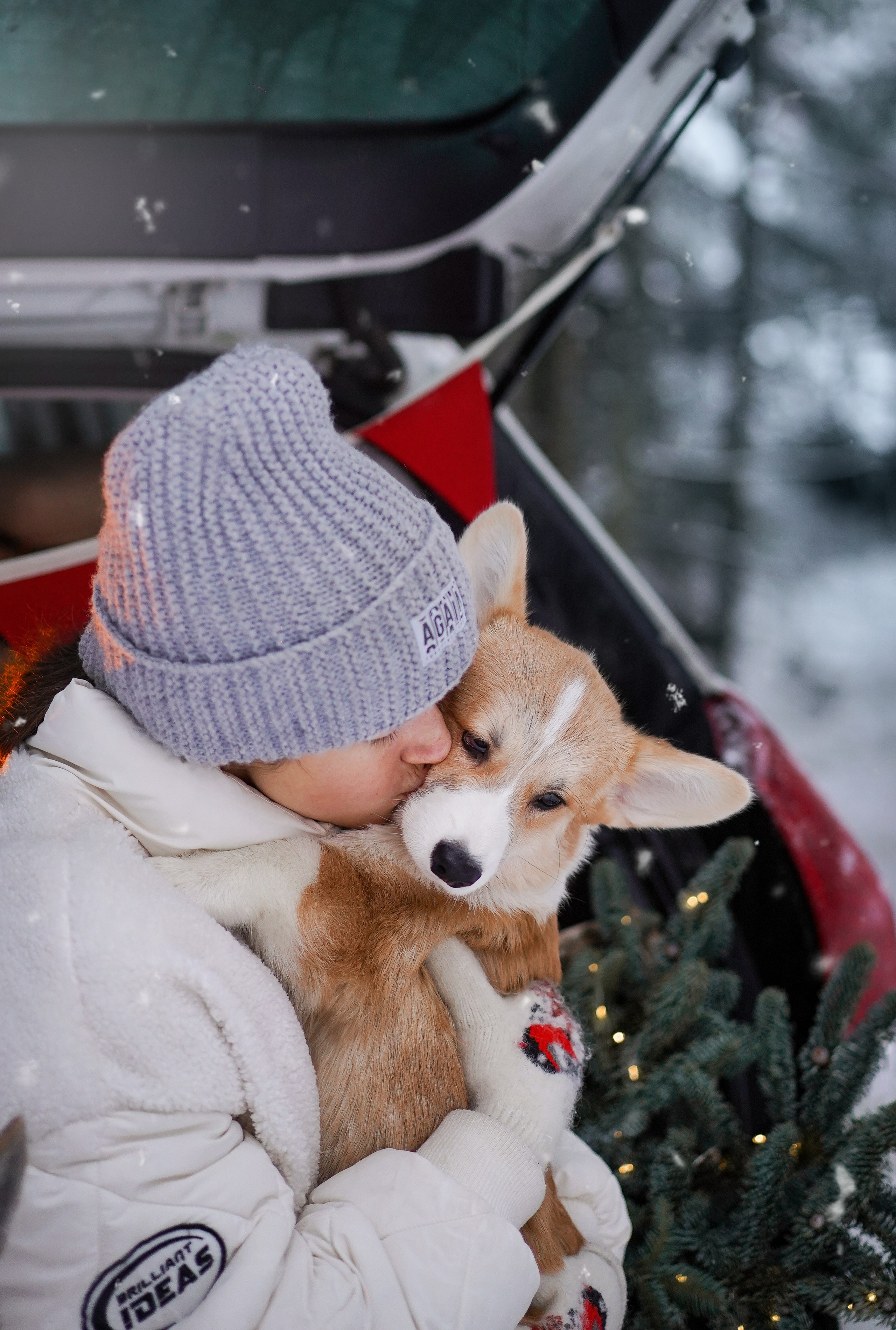 Катя Рокки и Честер. Фотограф-анималист в Санкт-Петербурге Яна Мартынова