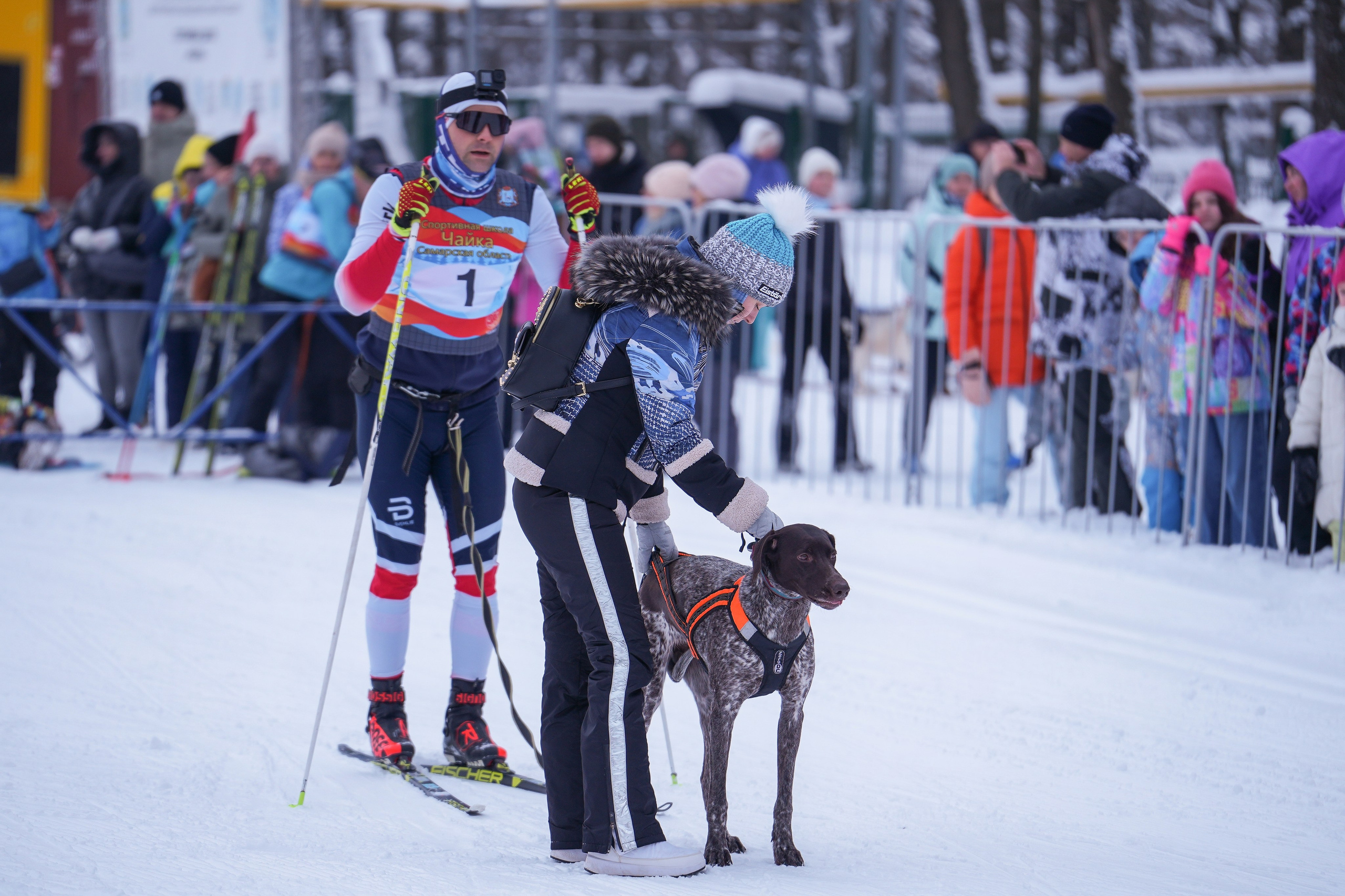 Рождественские гонки на собаках. Т/б «Чайка». Семейный фотограф Владимир Просвиркин. г. Самара