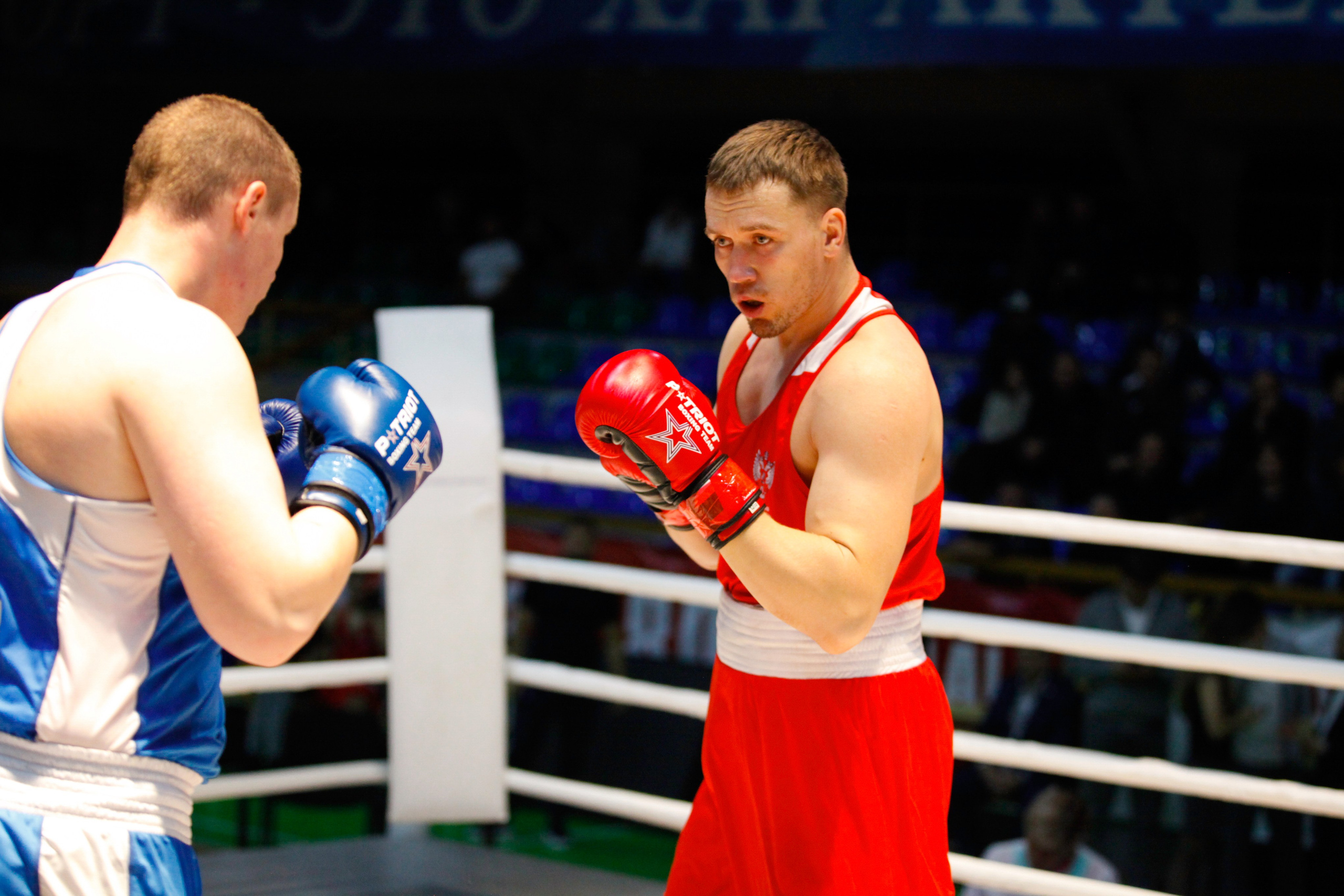 БОКС. Фото. Спортивный фотограф, трансляция, звук и свет в Новосибирске