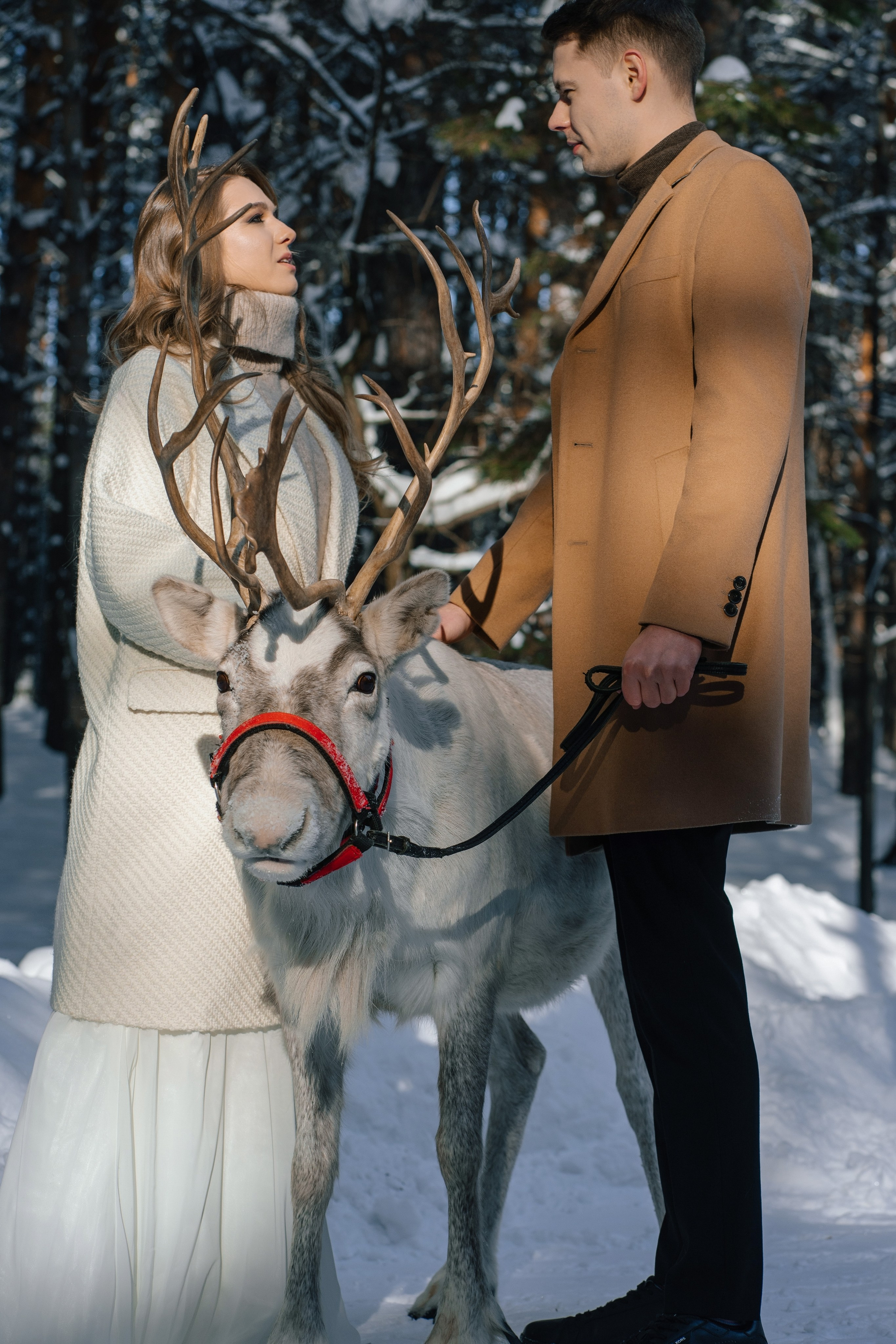 Артем & Кристина. Свадебный фотограф в Санкт-Петербурге — Евгения Лютоева