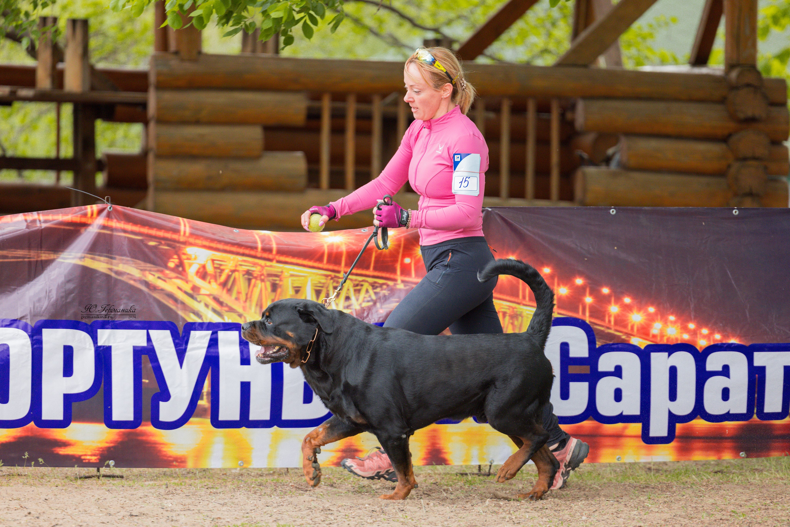 Саратов 2 х моно ротвейлеров 28-29.04.2024. Фотограф-анималист Юлия Германика