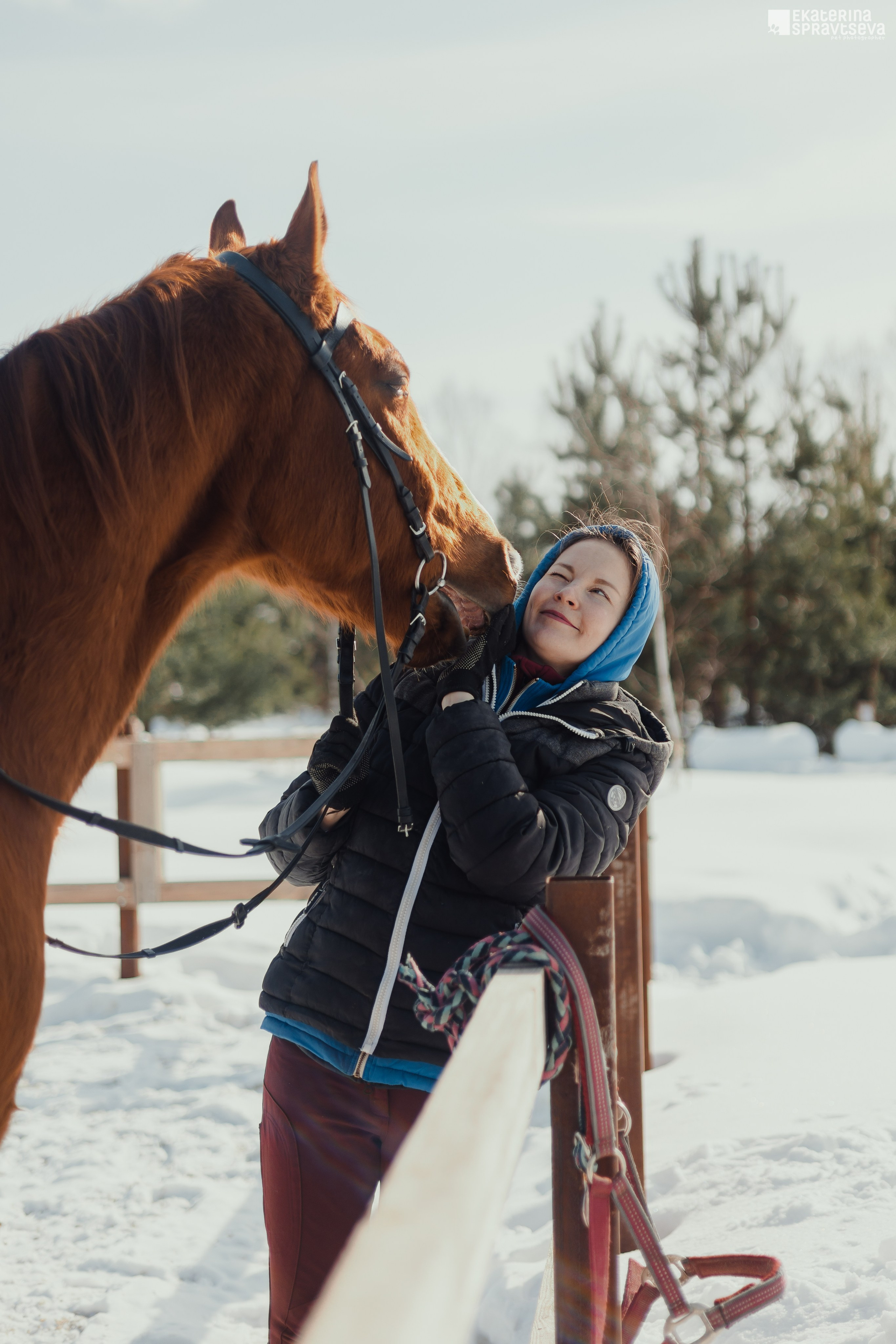 Среди грив и копыт. Фотограф Анималист Екатерина Справцева в Нижнем Новгороде