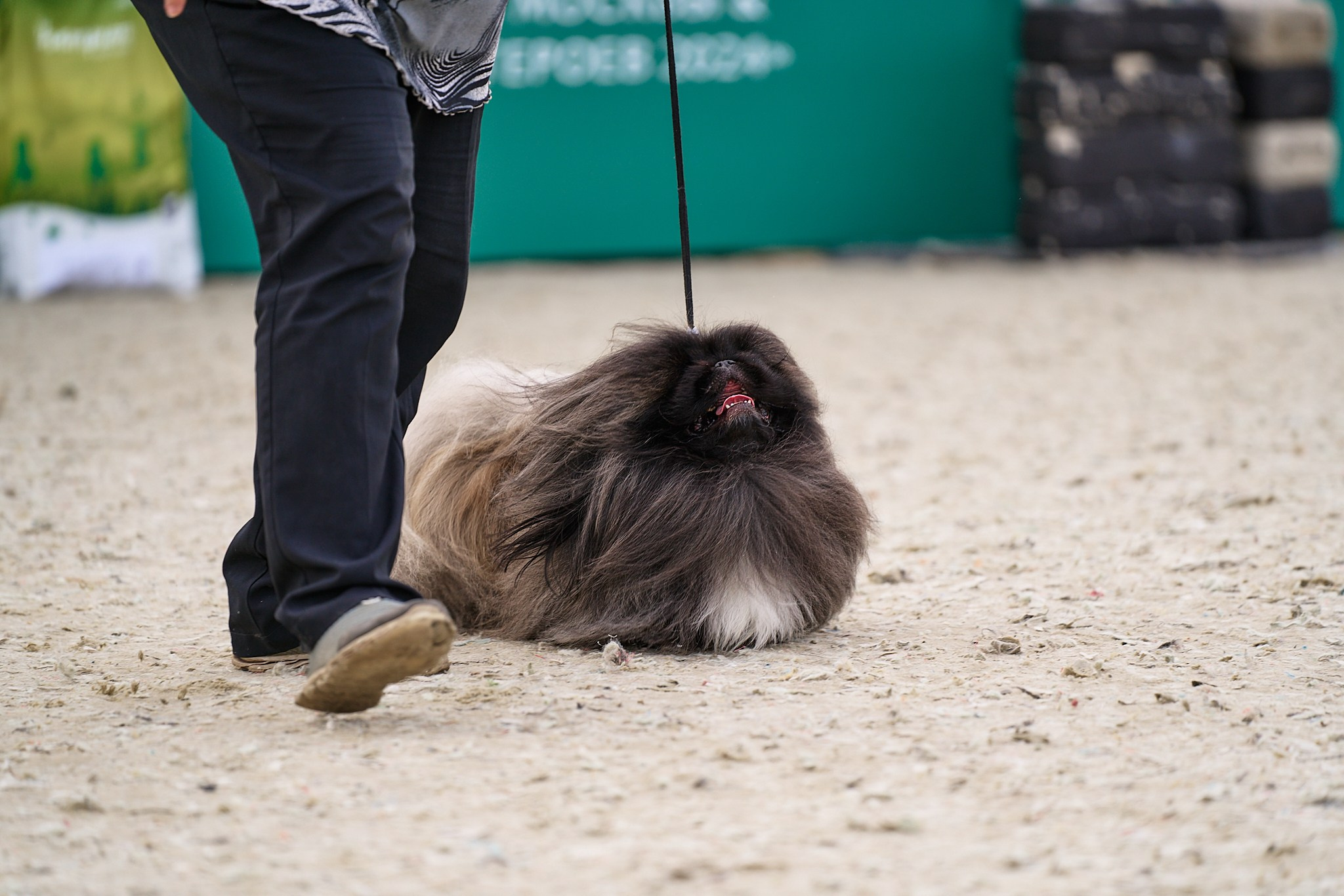 09.06.2024, «РОССИЯ. КУБОК МОСКВЫ 2024 & КУБОК ГОРОДОВ-ГЕРОЕВ»