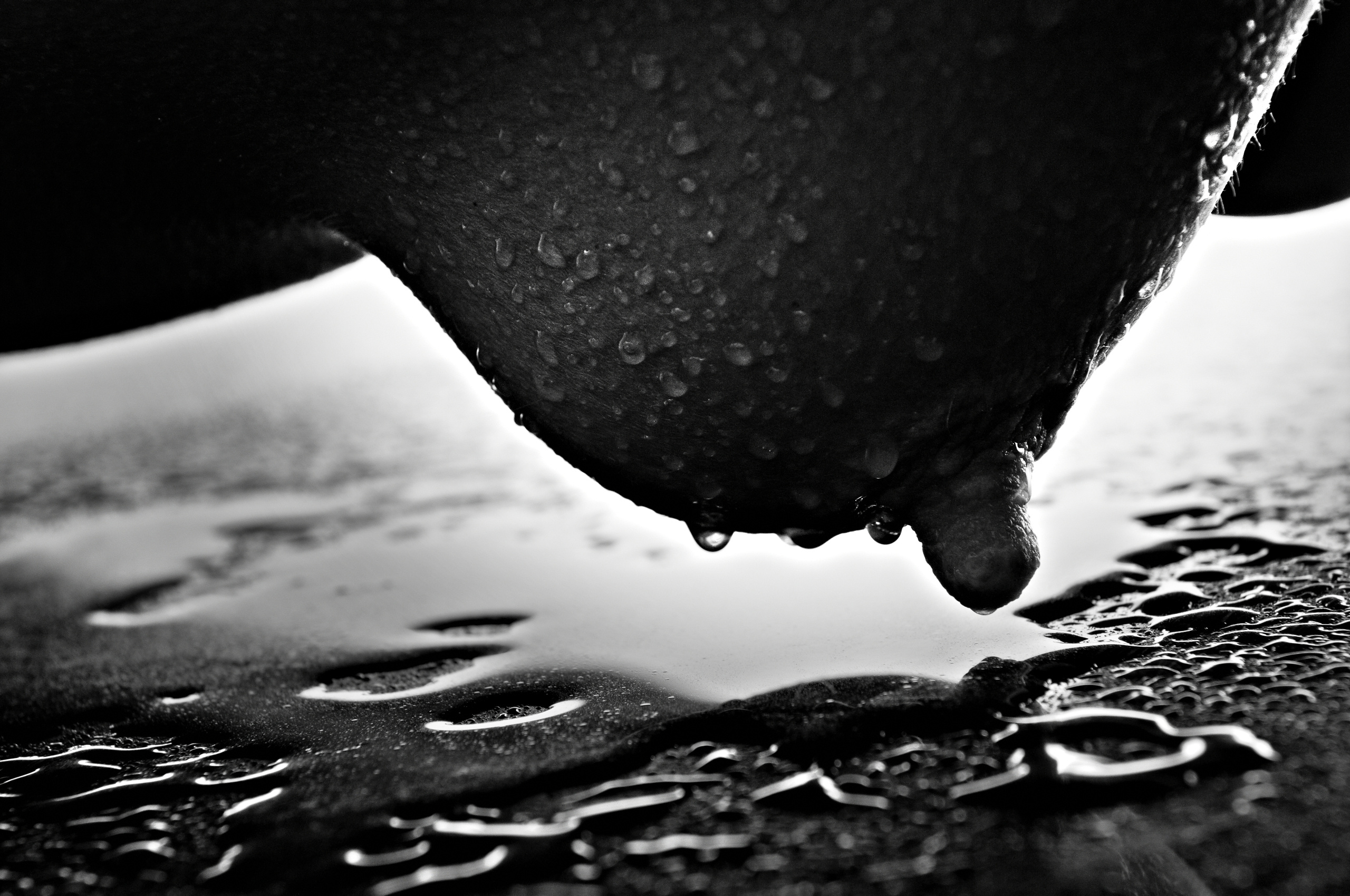 фотографы в стиле ню Воронцов Алексей